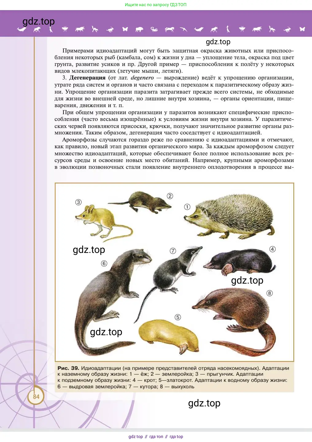 Биология, 11 класс Учебник, авторы: Пасечник Владимир Васильевич, Каменский Андрей Александрович, Рубцов Александр Михайлович, Швецов Глеб Геннадьевич, Абовян Леван Арташесович, Гапонюк Зоя Георгиевна, издательство Просвещение, Москва, 2023, страница 84