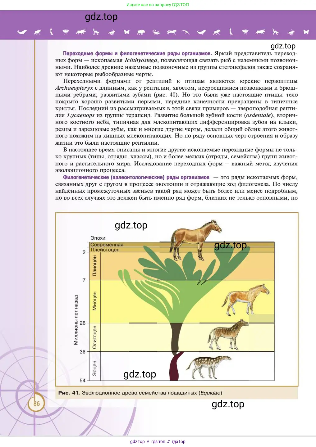 Биология, 11 класс Учебник, авторы: Пасечник Владимир Васильевич, Каменский Андрей Александрович, Рубцов Александр Михайлович, Швецов Глеб Геннадьевич, Абовян Леван Арташесович, Гапонюк Зоя Георгиевна, издательство Просвещение, Москва, 2023, страница 86
