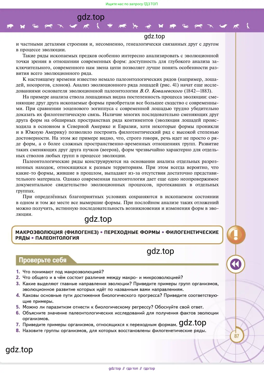 Биология, 11 класс Учебник, авторы: Пасечник Владимир Васильевич, Каменский Андрей Александрович, Рубцов Александр Михайлович, Швецов Глеб Геннадьевич, Абовян Леван Арташесович, Гапонюк Зоя Георгиевна, издательство Просвещение, Москва, 2023, страница 87