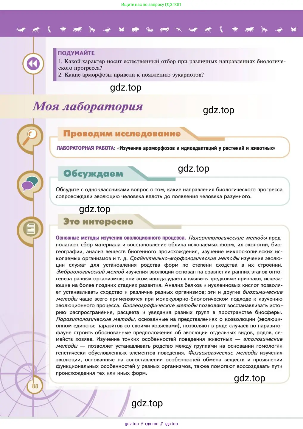 Биология, 11 класс Учебник, авторы: Пасечник Владимир Васильевич, Каменский Андрей Александрович, Рубцов Александр Михайлович, Швецов Глеб Геннадьевич, Абовян Леван Арташесович, Гапонюк Зоя Георгиевна, издательство Просвещение, Москва, 2023, страница 88