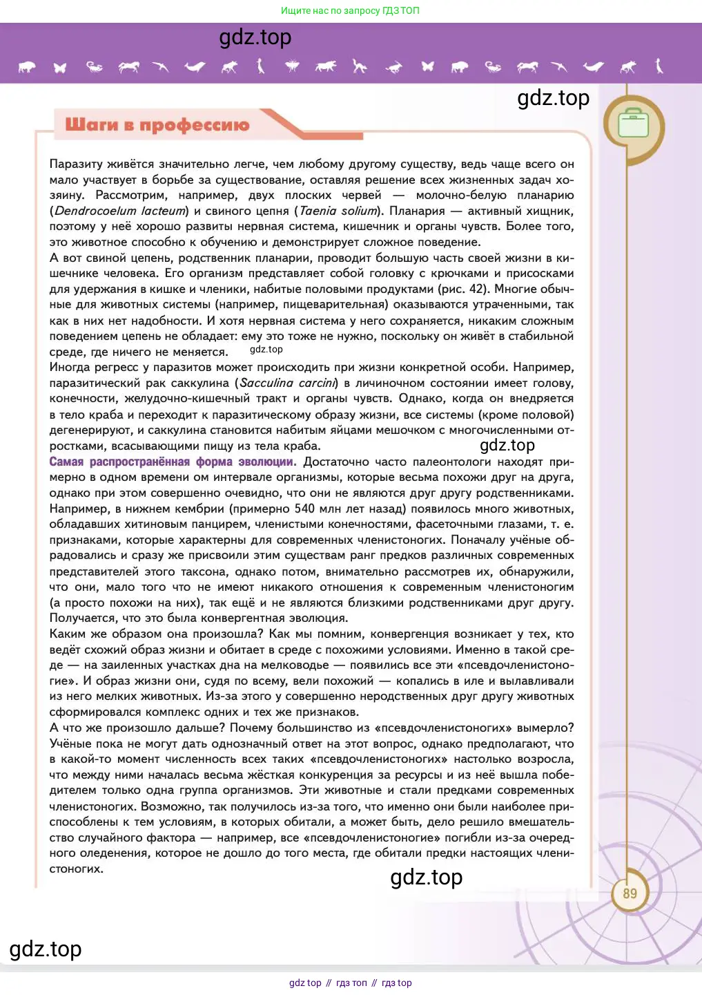 Биология, 11 класс Учебник, авторы: Пасечник Владимир Васильевич, Каменский Андрей Александрович, Рубцов Александр Михайлович, Швецов Глеб Геннадьевич, Абовян Леван Арташесович, Гапонюк Зоя Георгиевна, издательство Просвещение, Москва, 2023, страница 89