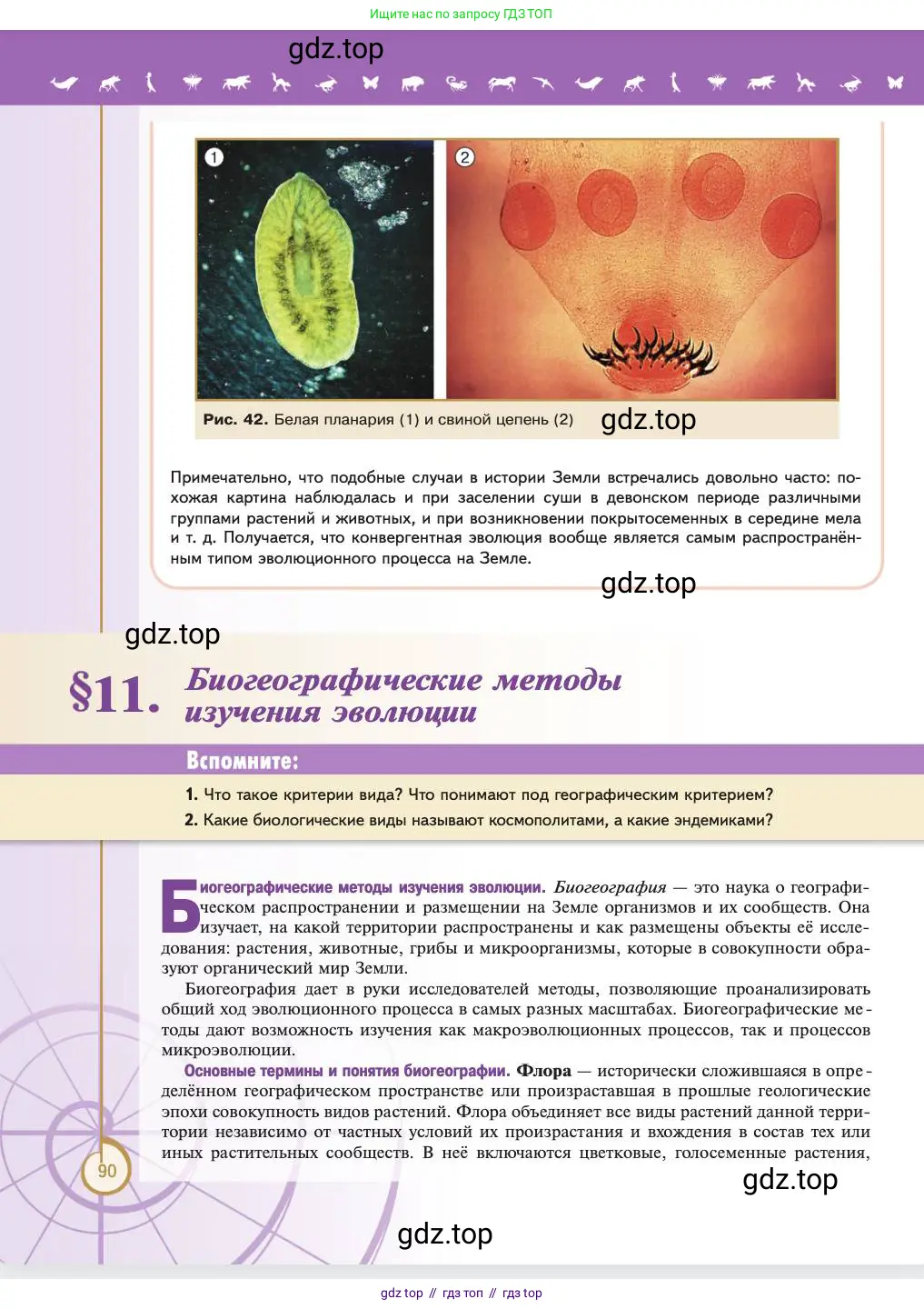 Биология, 11 класс Учебник, авторы: Пасечник Владимир Васильевич, Каменский Андрей Александрович, Рубцов Александр Михайлович, Швецов Глеб Геннадьевич, Абовян Леван Арташесович, Гапонюк Зоя Георгиевна, издательство Просвещение, Москва, 2023, страница 90