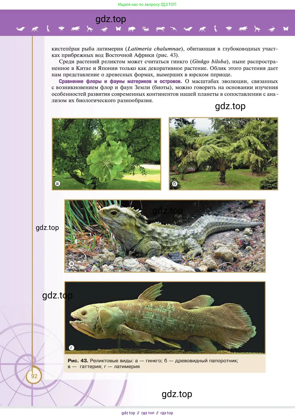 Биология, 11 класс Учебник, авторы: Пасечник Владимир Васильевич, Каменский Андрей Александрович, Рубцов Александр Михайлович, Швецов Глеб Геннадьевич, Абовян Леван Арташесович, Гапонюк Зоя Георгиевна, издательство Просвещение, Москва, 2023, страница 92