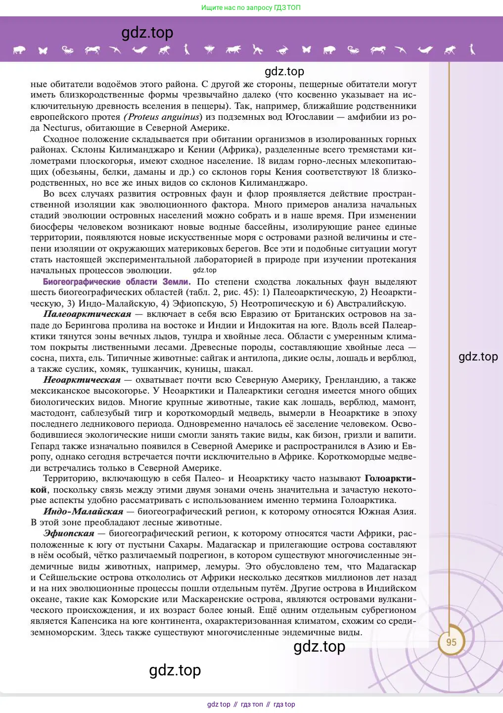 Биология, 11 класс Учебник, авторы: Пасечник Владимир Васильевич, Каменский Андрей Александрович, Рубцов Александр Михайлович, Швецов Глеб Геннадьевич, Абовян Леван Арташесович, Гапонюк Зоя Георгиевна, издательство Просвещение, Москва, 2023, страница 95