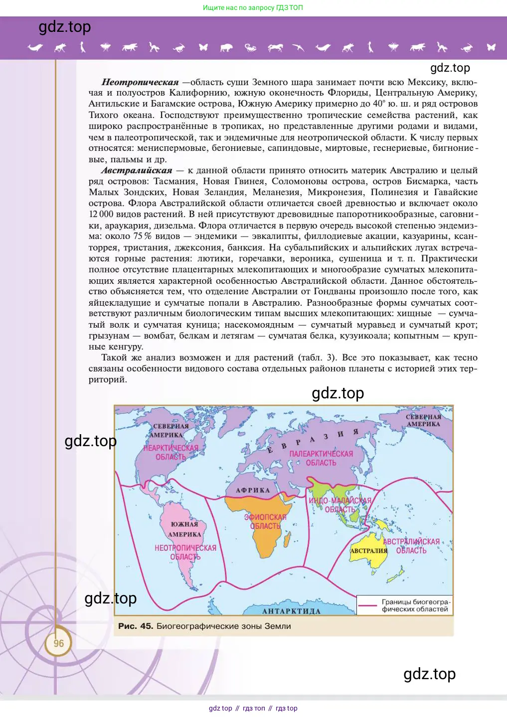 Биология, 11 класс Учебник, авторы: Пасечник Владимир Васильевич, Каменский Андрей Александрович, Рубцов Александр Михайлович, Швецов Глеб Геннадьевич, Абовян Леван Арташесович, Гапонюк Зоя Георгиевна, издательство Просвещение, Москва, 2023, страница 96