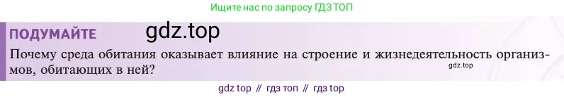 Биология, 11 класс Учебник, авторы: Пасечник Владимир Васильевич, Каменский Андрей Александрович, Рубцов Александр Михайлович, Швецов Глеб Геннадьевич, Абовян Леван Арташесович, Гапонюк Зоя Георгиевна, издательство Просвещение, Москва, 2023, страница 205, Условие