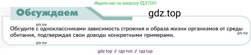 Биология, 11 класс Учебник, авторы: Пасечник Владимир Васильевич, Каменский Андрей Александрович, Рубцов Александр Михайлович, Швецов Глеб Геннадьевич, Абовян Леван Арташесович, Гапонюк Зоя Георгиевна, издательство Просвещение, Москва, 2023, страница 206, Условие