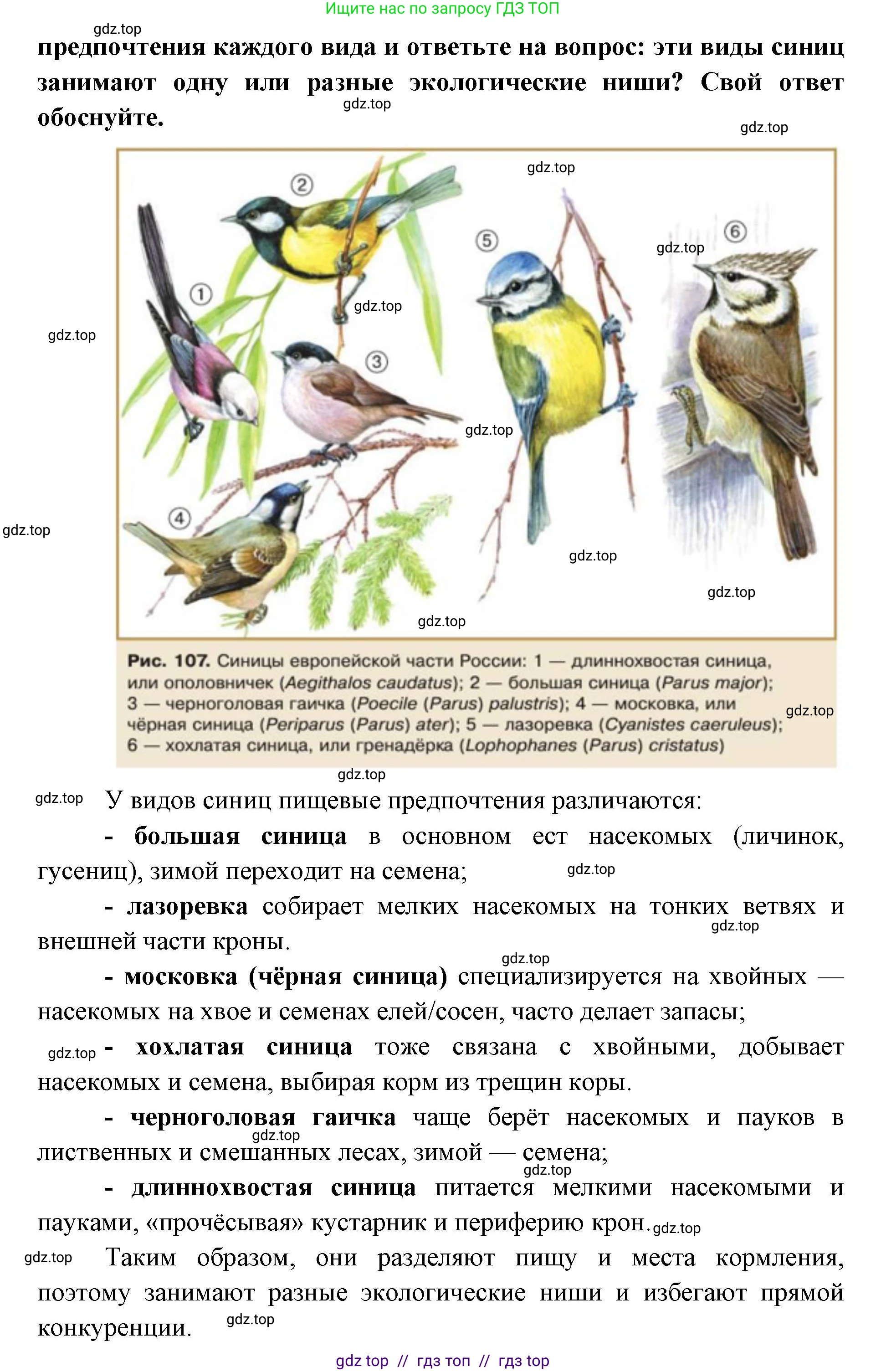 Биология, 11 класс Учебник, авторы: Пасечник Владимир Васильевич, Каменский Андрей Александрович, Рубцов Александр Михайлович, Швецов Глеб Геннадьевич, Абовян Леван Арташесович, Гапонюк Зоя Георгиевна, издательство Просвещение, Москва, 2023, страница 275, Решение (продолжение 2)