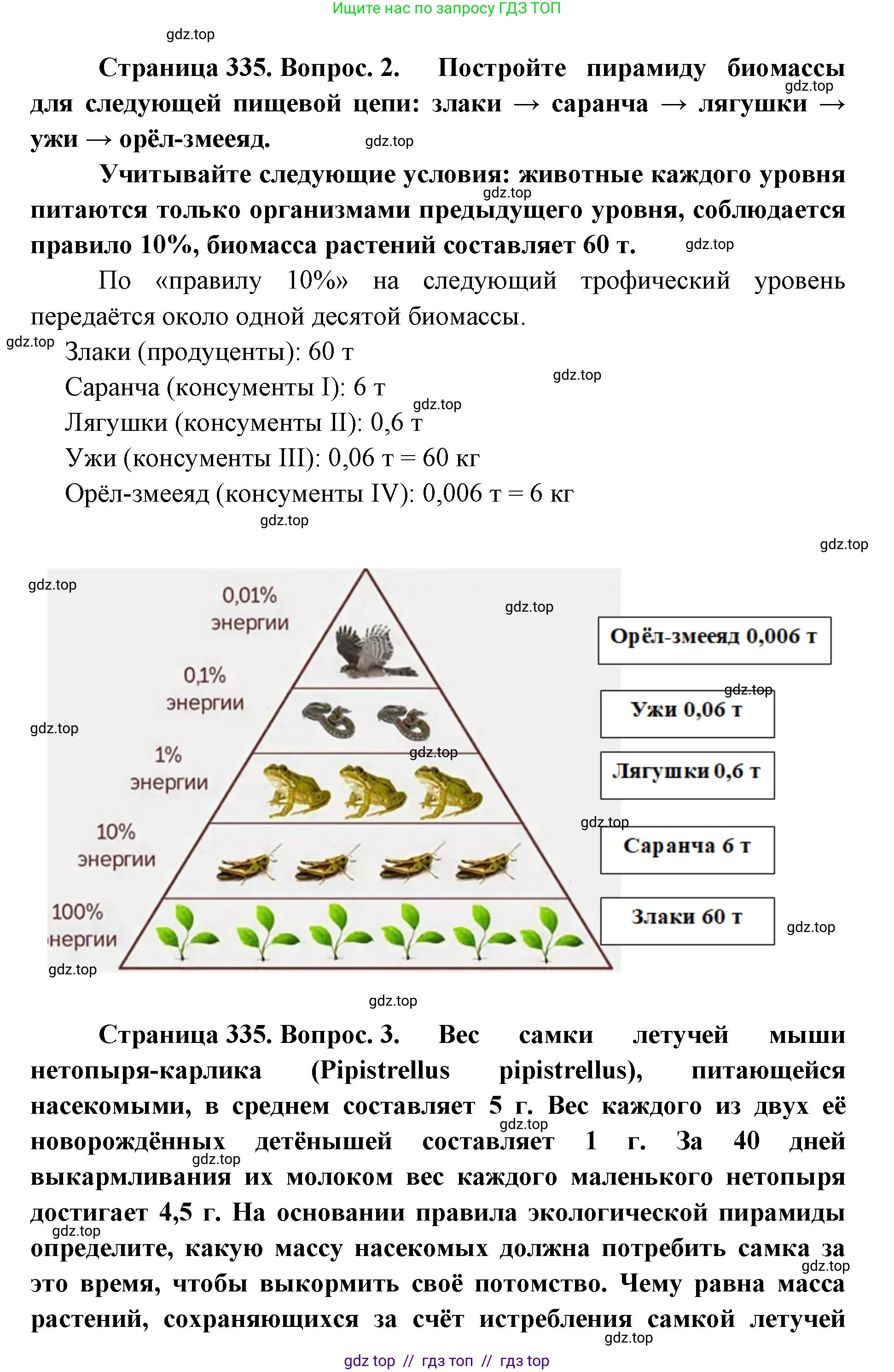 Биология, 11 класс Учебник, авторы: Пасечник Владимир Васильевич, Каменский Андрей Александрович, Рубцов Александр Михайлович, Швецов Глеб Геннадьевич, Абовян Леван Арташесович, Гапонюк Зоя Георгиевна, издательство Просвещение, Москва, 2023, страница 335, номер 2, Решение (продолжение 2)