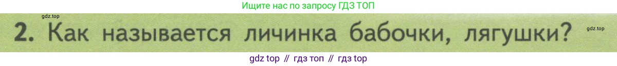 ГДЗ Биология, 11 класс Учебник, авторы: Пасечник Владимир Васильевич, Каменский Андрей Александрович, Рубцов Александр Михайлович, Швецов Глеб Геннадьевич, Гапонюк Зоя Георгиевна, издательство Просвещение, Москва, 2018, страница 22, номер 2, Условие