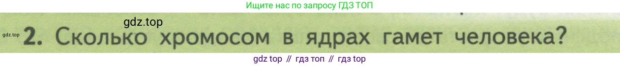 Биология, 11 класс Учебник, авторы: Пасечник Владимир Васильевич, Каменский Андрей Александрович, Рубцов Александр Михайлович, Швецов Глеб Геннадьевич, Гапонюк Зоя Георгиевна, издательство Просвещение, Москва, 2018, страница 40, номер 2, Условие