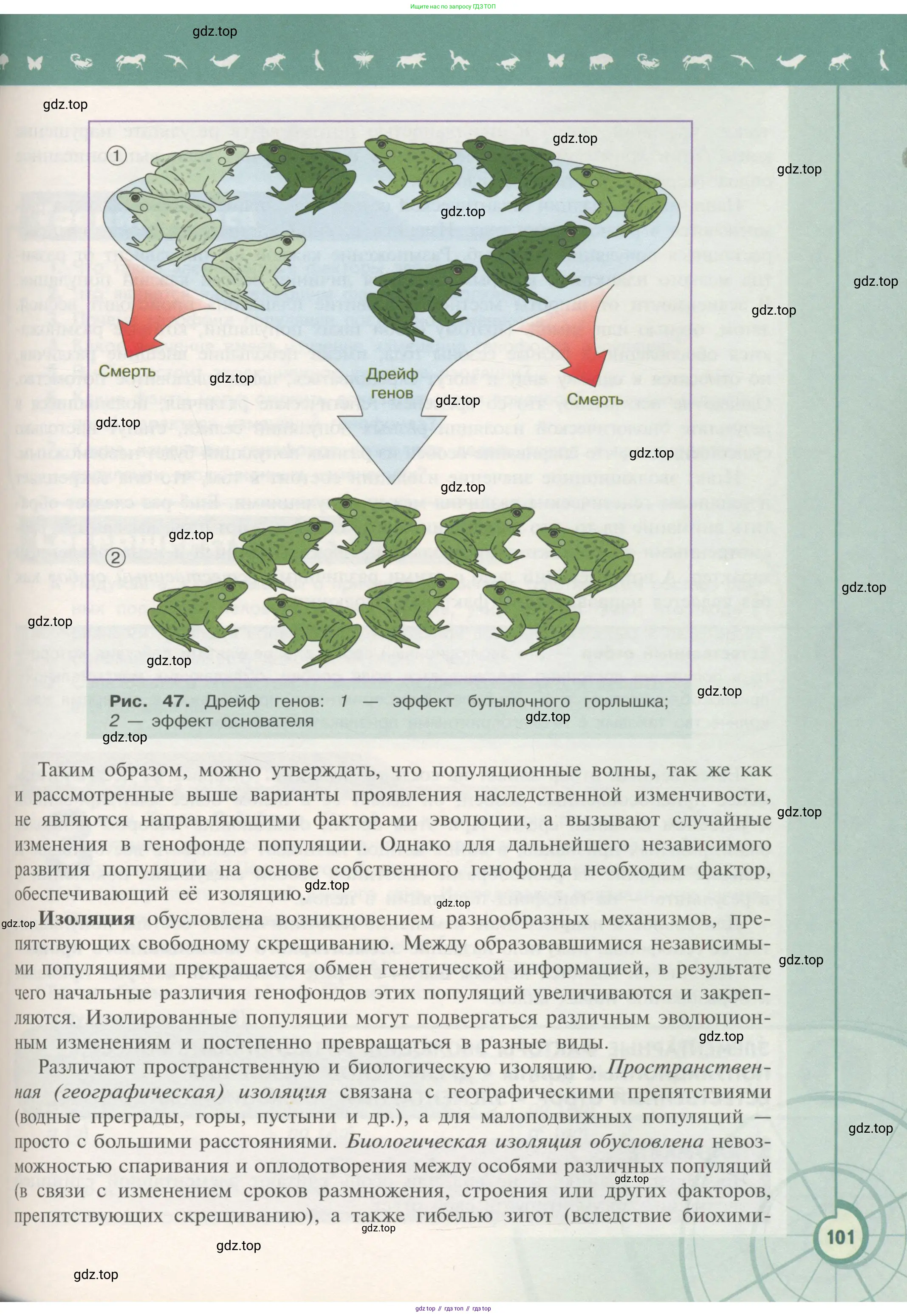 Биология, 11 класс Учебник, авторы: Пасечник Владимир Васильевич, Каменский Андрей Александрович, Рубцов Александр Михайлович, Швецов Глеб Геннадьевич, Гапонюк Зоя Георгиевна, издательство Просвещение, Москва, 2018, страница 101