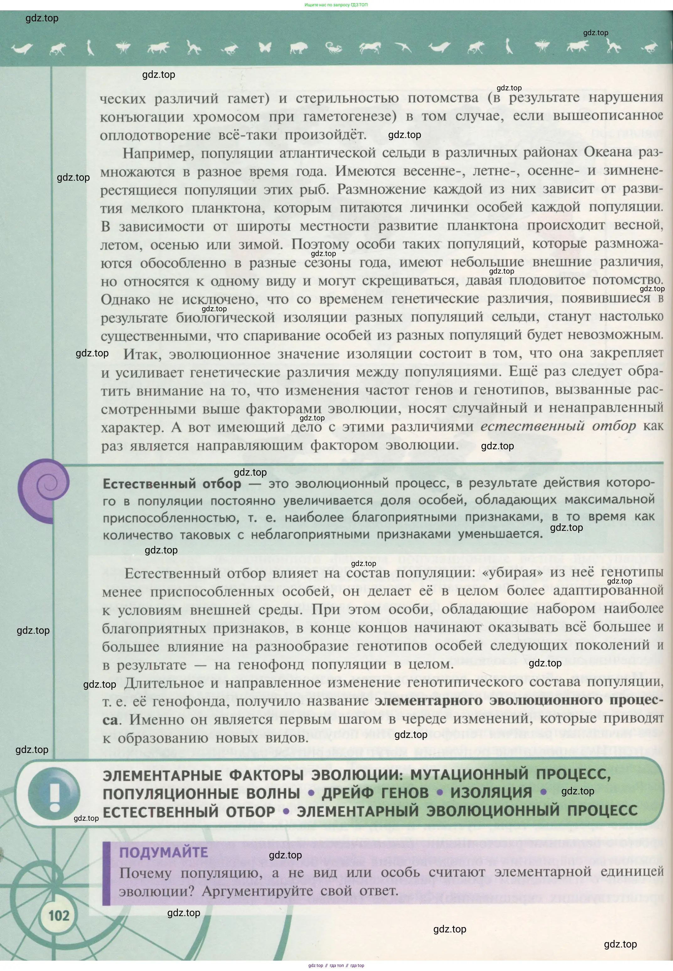Биология, 11 класс Учебник, авторы: Пасечник Владимир Васильевич, Каменский Андрей Александрович, Рубцов Александр Михайлович, Швецов Глеб Геннадьевич, Гапонюк Зоя Георгиевна, издательство Просвещение, Москва, 2018, страница 102