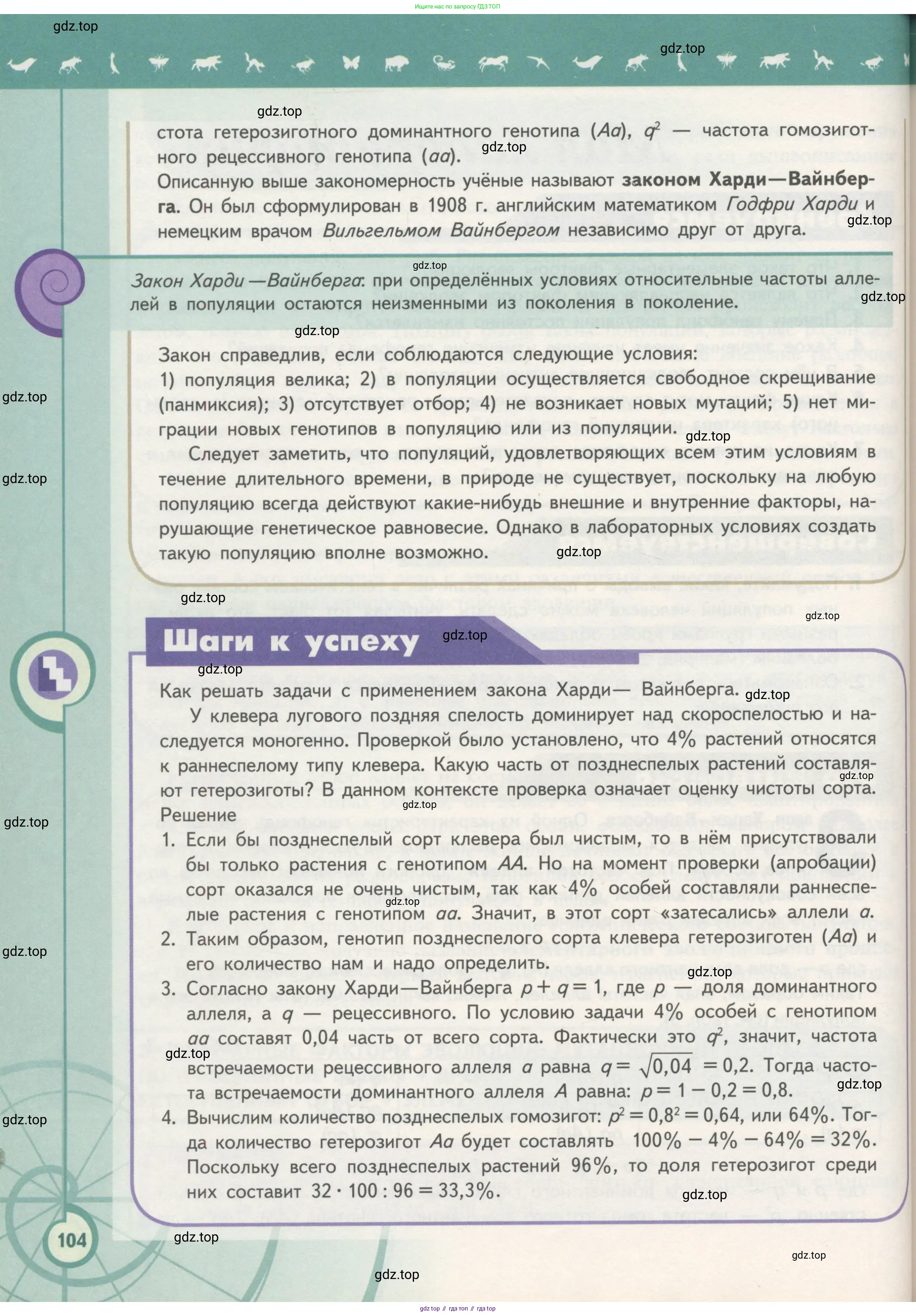 Биология, 11 класс Учебник, авторы: Пасечник Владимир Васильевич, Каменский Андрей Александрович, Рубцов Александр Михайлович, Швецов Глеб Геннадьевич, Гапонюк Зоя Георгиевна, издательство Просвещение, Москва, 2018, страница 104