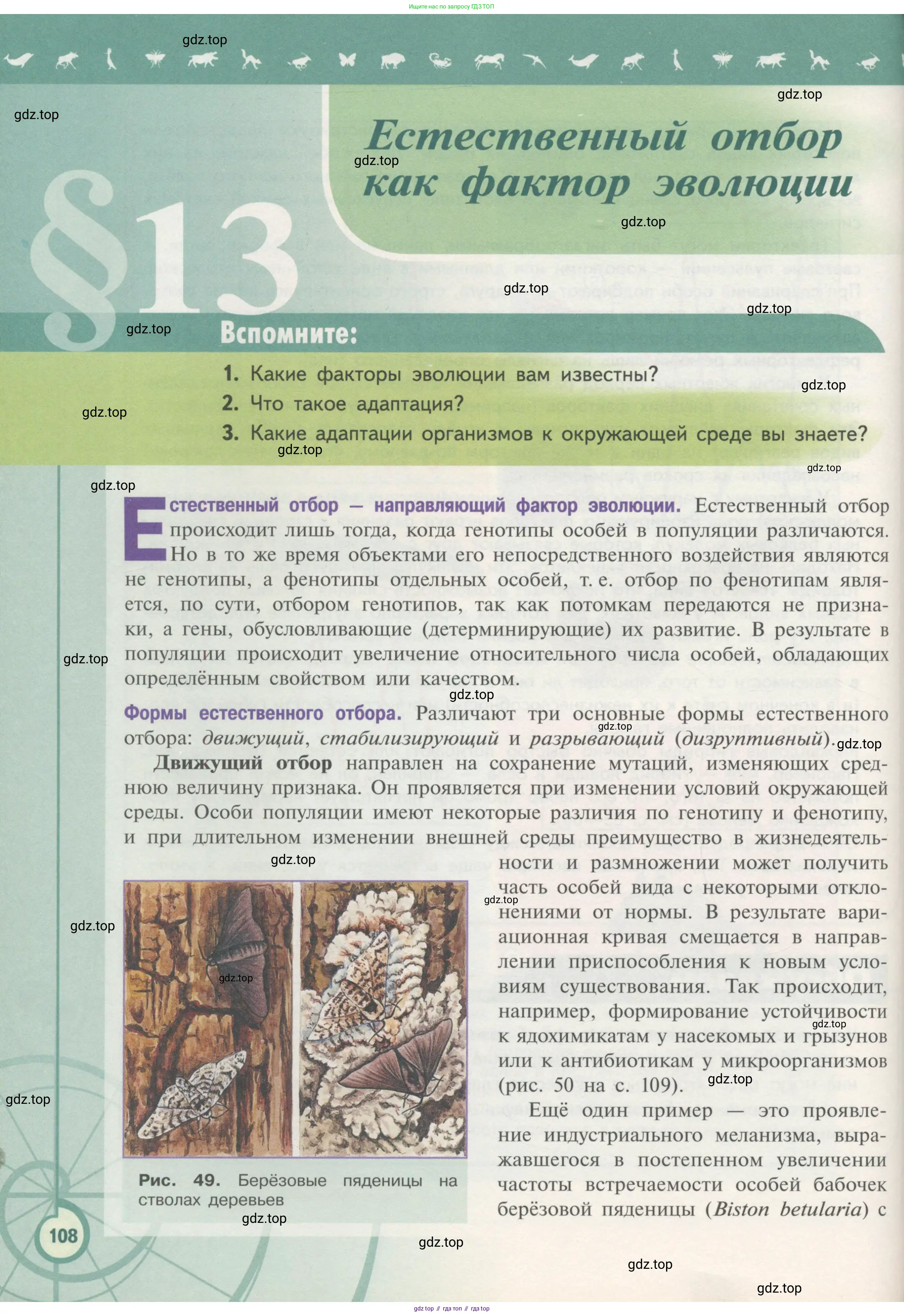 Биология, 11 класс Учебник, авторы: Пасечник Владимир Васильевич, Каменский Андрей Александрович, Рубцов Александр Михайлович, Швецов Глеб Геннадьевич, Гапонюк Зоя Георгиевна, издательство Просвещение, Москва, 2018, страница 108