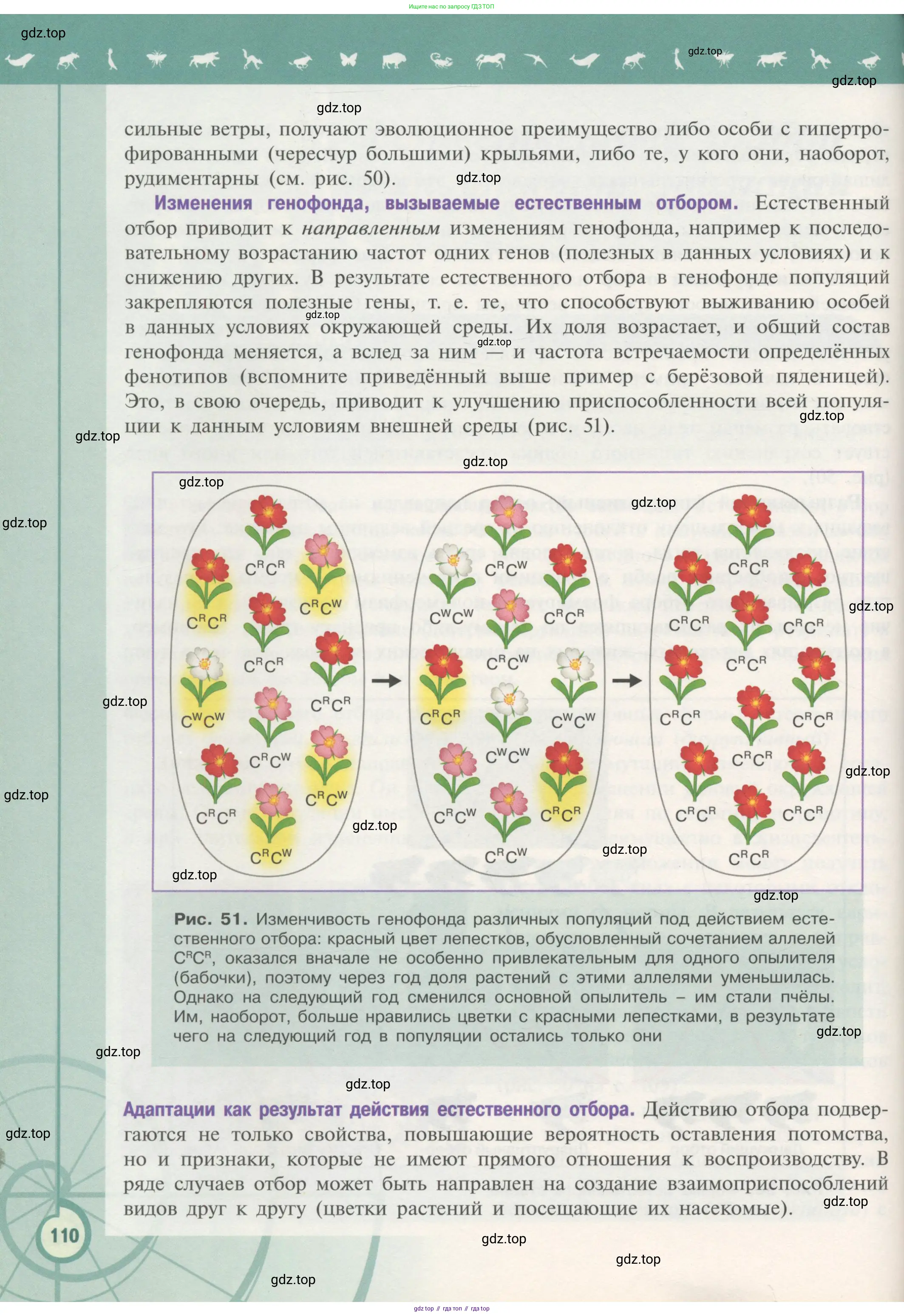 Биология, 11 класс Учебник, авторы: Пасечник Владимир Васильевич, Каменский Андрей Александрович, Рубцов Александр Михайлович, Швецов Глеб Геннадьевич, Гапонюк Зоя Георгиевна, издательство Просвещение, Москва, 2018, страница 110