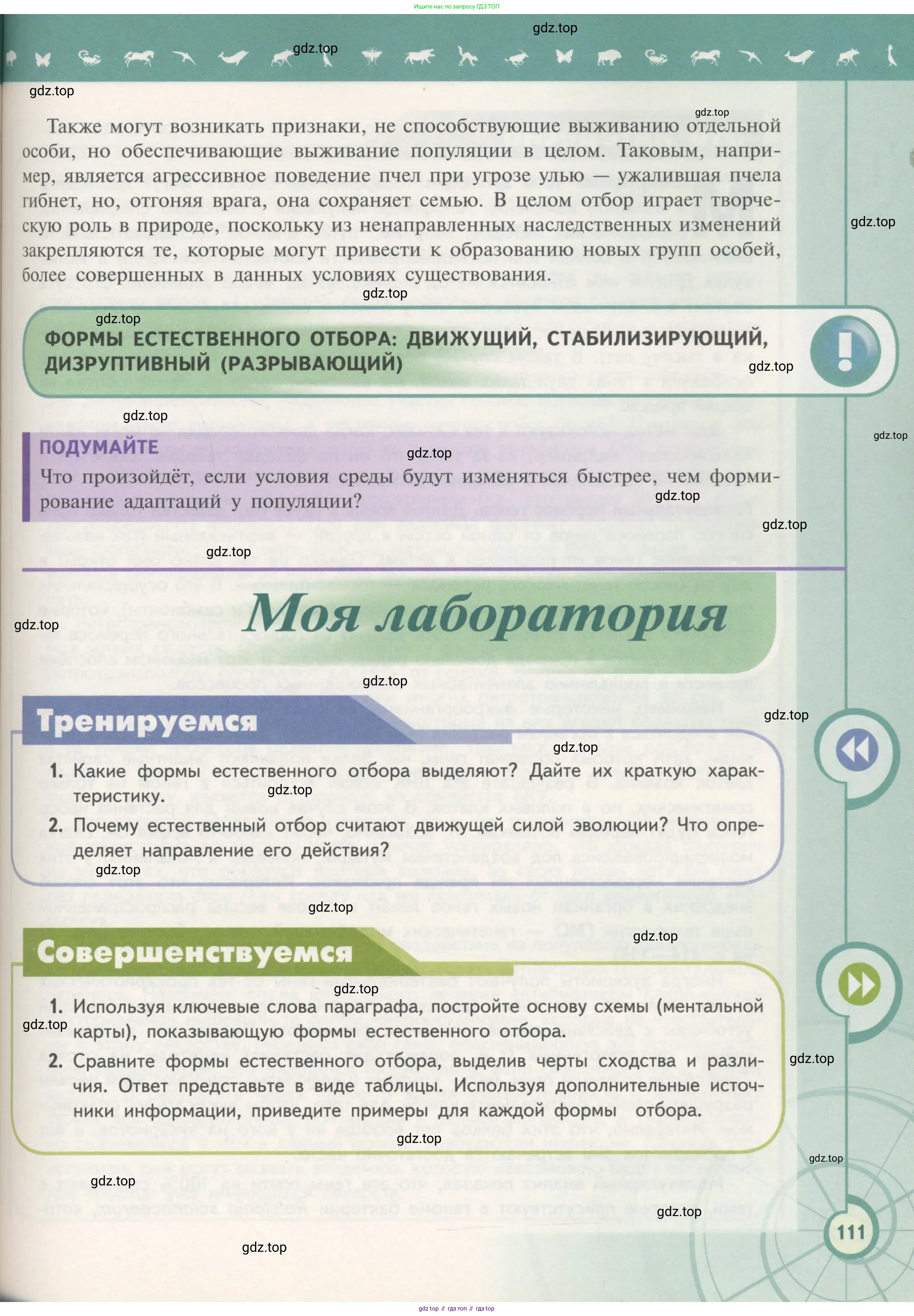 Биология, 11 класс Учебник, авторы: Пасечник Владимир Васильевич, Каменский Андрей Александрович, Рубцов Александр Михайлович, Швецов Глеб Геннадьевич, Гапонюк Зоя Георгиевна, издательство Просвещение, Москва, 2018, страница 111