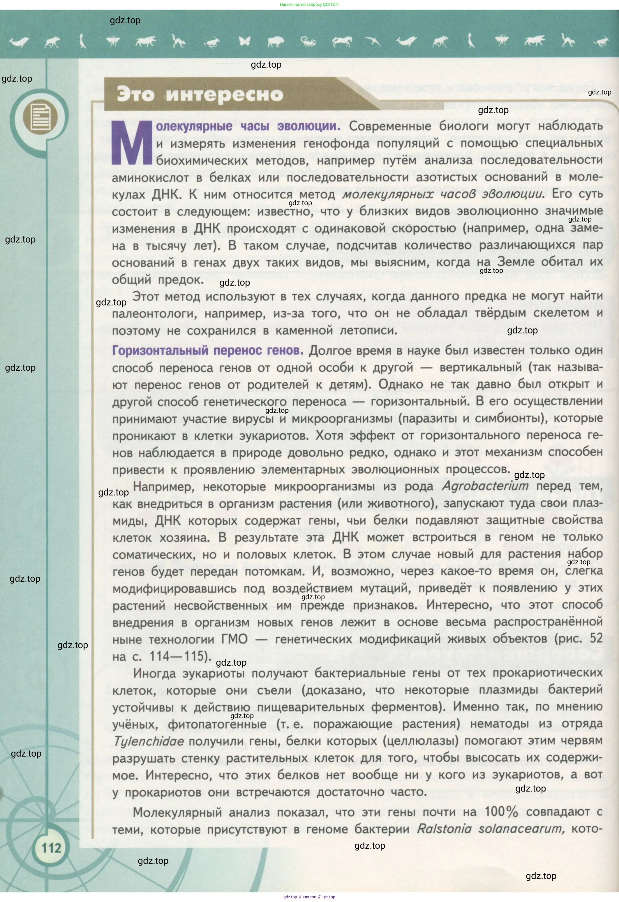 Биология, 11 класс Учебник, авторы: Пасечник Владимир Васильевич, Каменский Андрей Александрович, Рубцов Александр Михайлович, Швецов Глеб Геннадьевич, Гапонюк Зоя Георгиевна, издательство Просвещение, Москва, 2018, страница 112