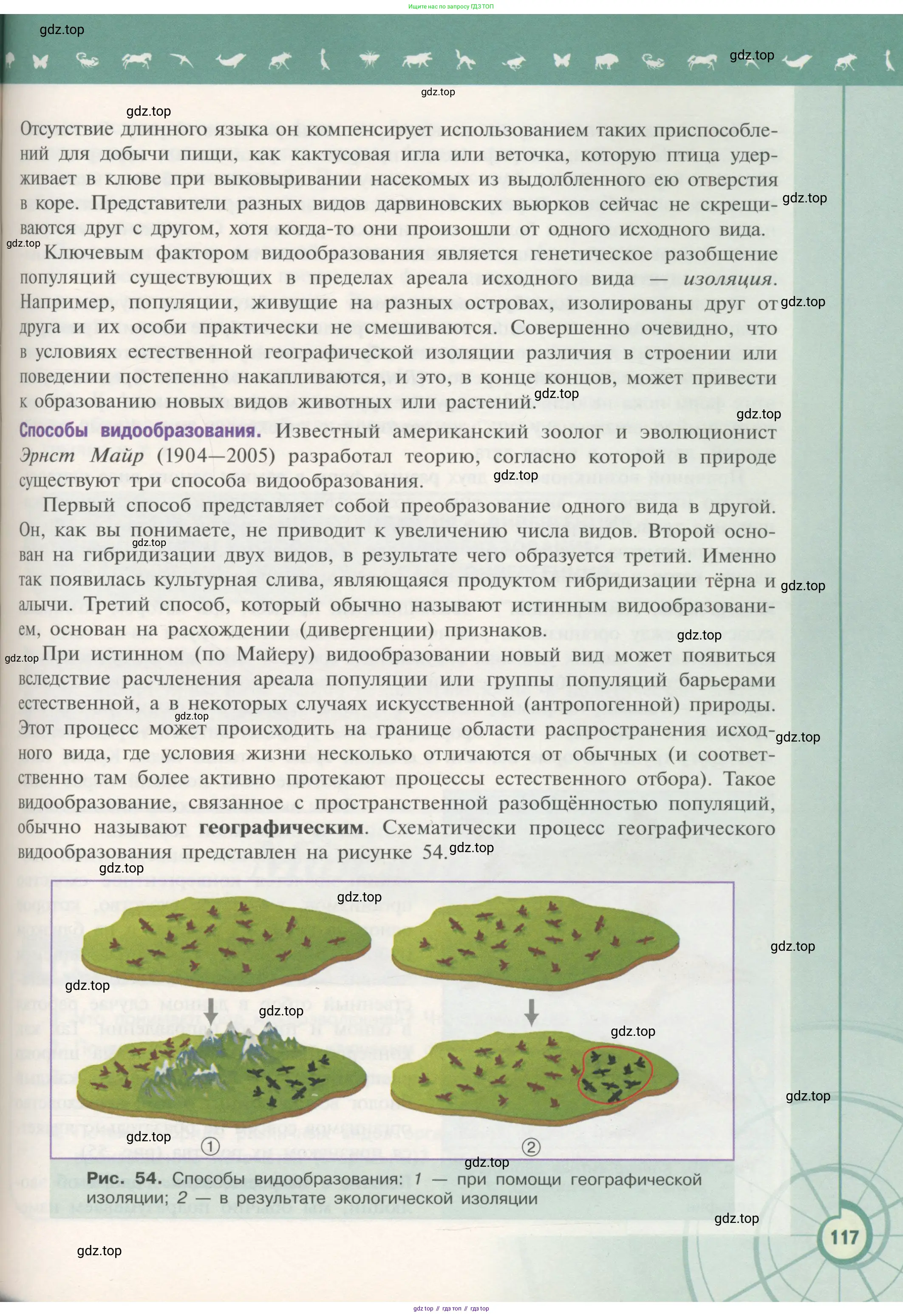 Биология, 11 класс Учебник, авторы: Пасечник Владимир Васильевич, Каменский Андрей Александрович, Рубцов Александр Михайлович, Швецов Глеб Геннадьевич, Гапонюк Зоя Георгиевна, издательство Просвещение, Москва, 2018, страница 117