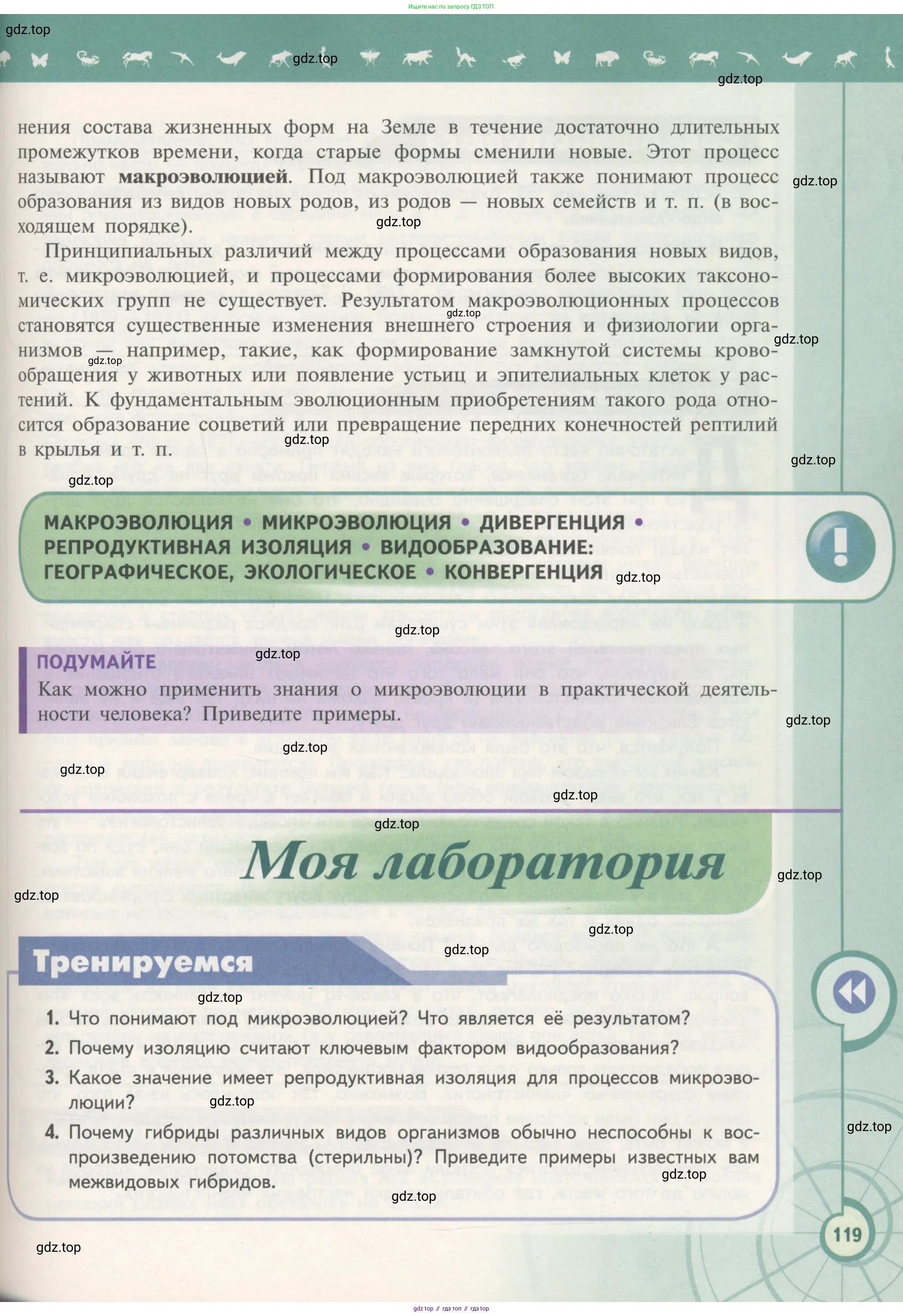 Биология, 11 класс Учебник, авторы: Пасечник Владимир Васильевич, Каменский Андрей Александрович, Рубцов Александр Михайлович, Швецов Глеб Геннадьевич, Гапонюк Зоя Георгиевна, издательство Просвещение, Москва, 2018, страница 119