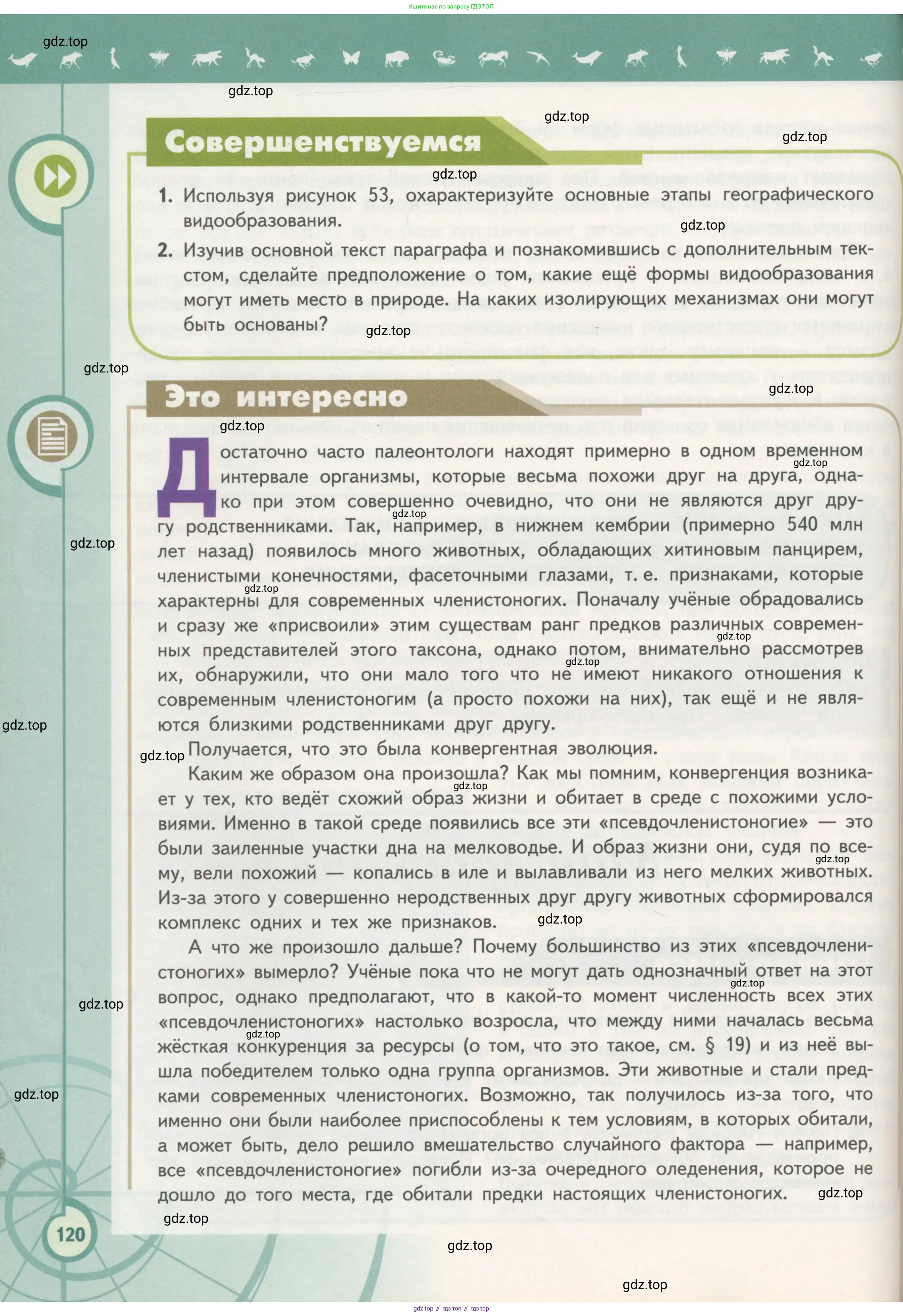 Биология, 11 класс Учебник, авторы: Пасечник Владимир Васильевич, Каменский Андрей Александрович, Рубцов Александр Михайлович, Швецов Глеб Геннадьевич, Гапонюк Зоя Георгиевна, издательство Просвещение, Москва, 2018, страница 120