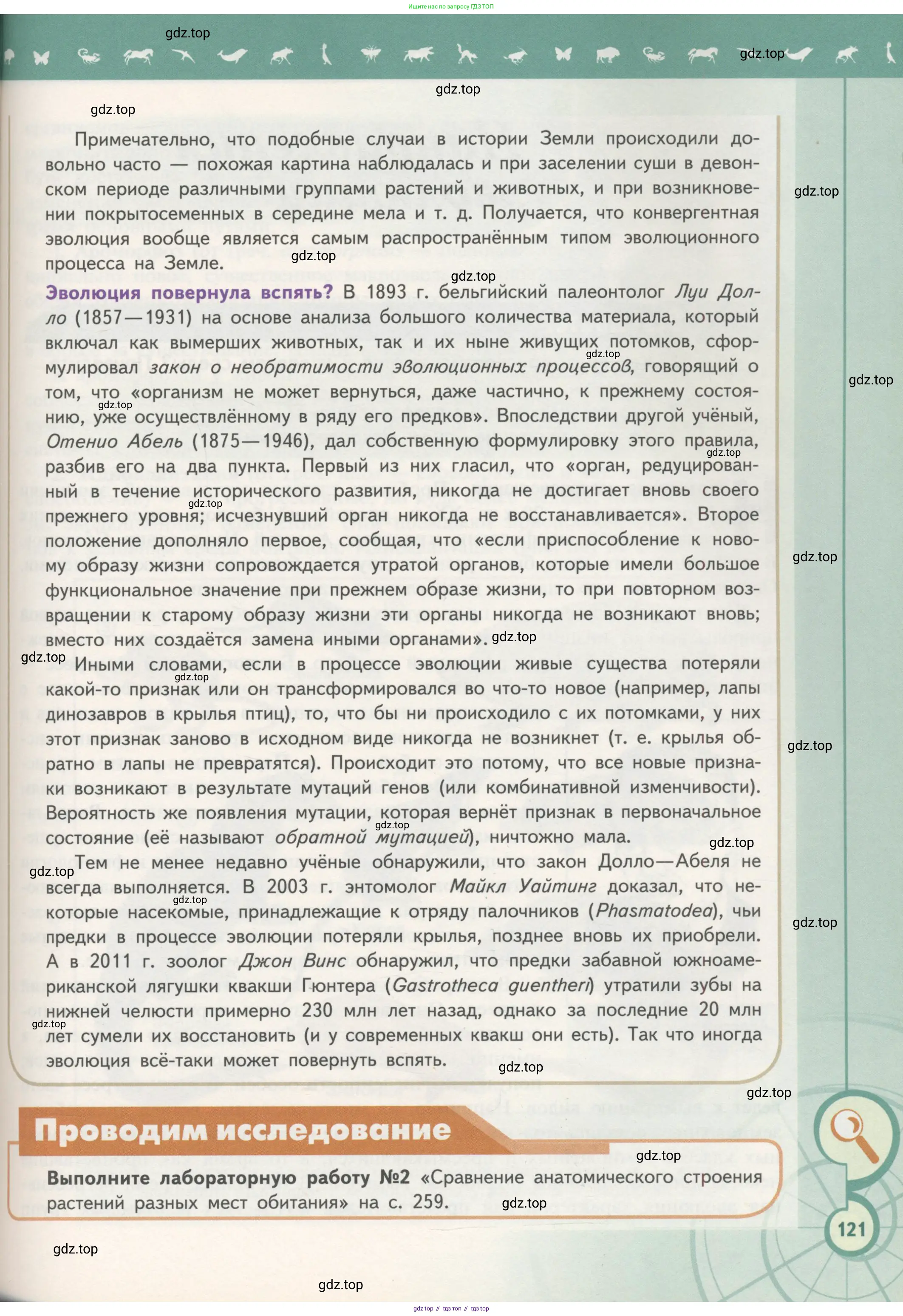 Биология, 11 класс Учебник, авторы: Пасечник Владимир Васильевич, Каменский Андрей Александрович, Рубцов Александр Михайлович, Швецов Глеб Геннадьевич, Гапонюк Зоя Георгиевна, издательство Просвещение, Москва, 2018, страница 121