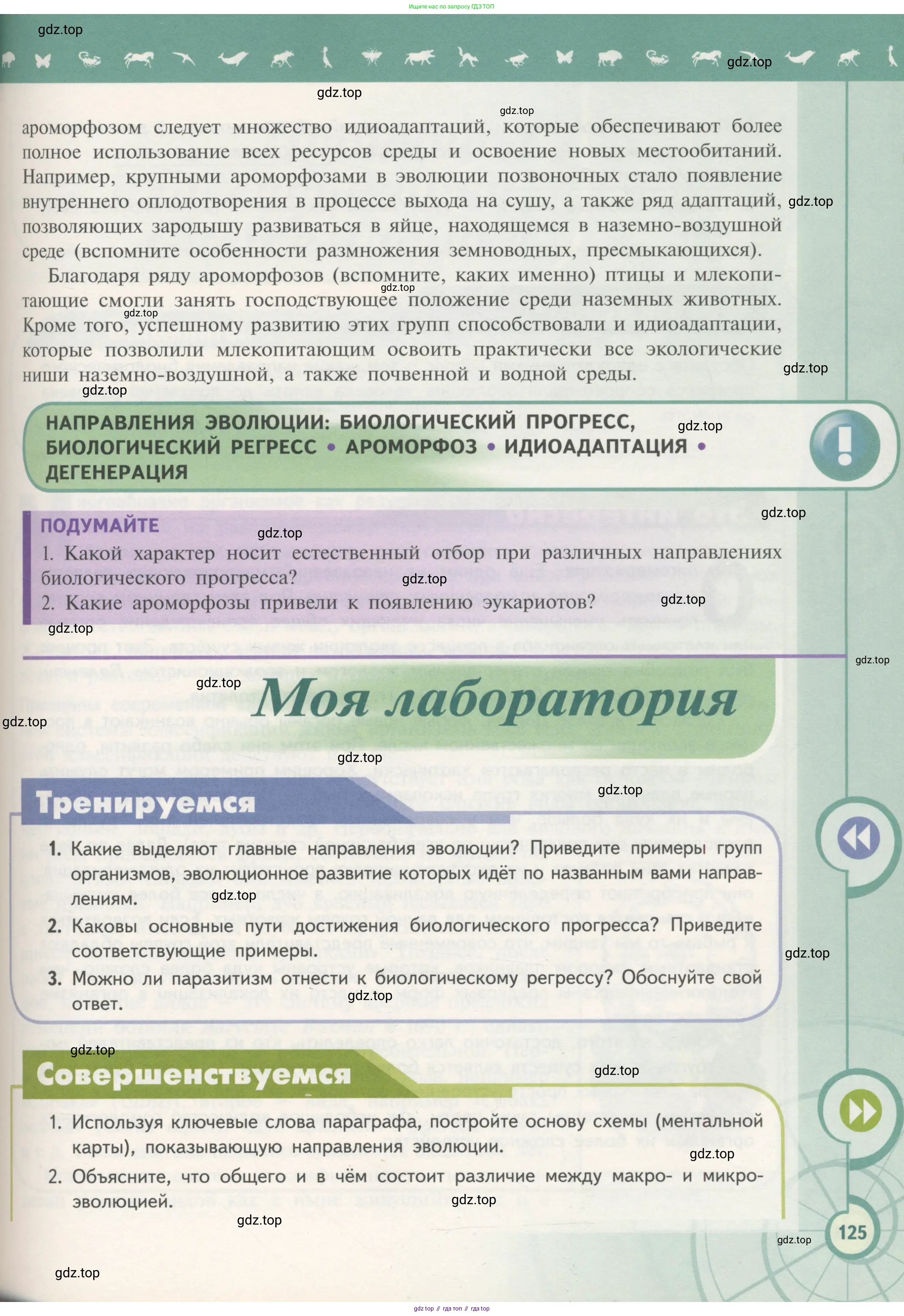 Биология, 11 класс Учебник, авторы: Пасечник Владимир Васильевич, Каменский Андрей Александрович, Рубцов Александр Михайлович, Швецов Глеб Геннадьевич, Гапонюк Зоя Георгиевна, издательство Просвещение, Москва, 2018, страница 125