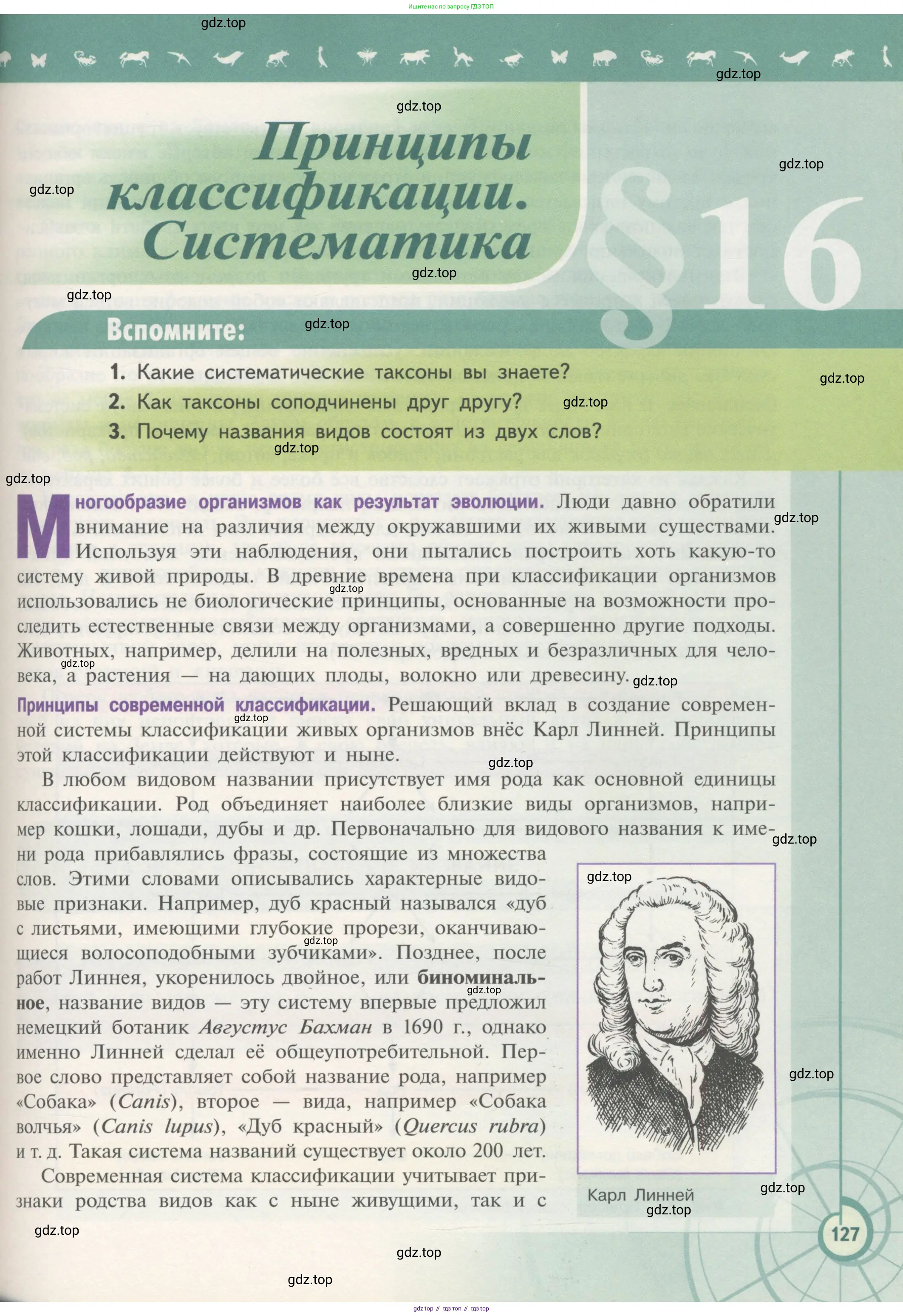 Биология, 11 класс Учебник, авторы: Пасечник Владимир Васильевич, Каменский Андрей Александрович, Рубцов Александр Михайлович, Швецов Глеб Геннадьевич, Гапонюк Зоя Георгиевна, издательство Просвещение, Москва, 2018, страница 127