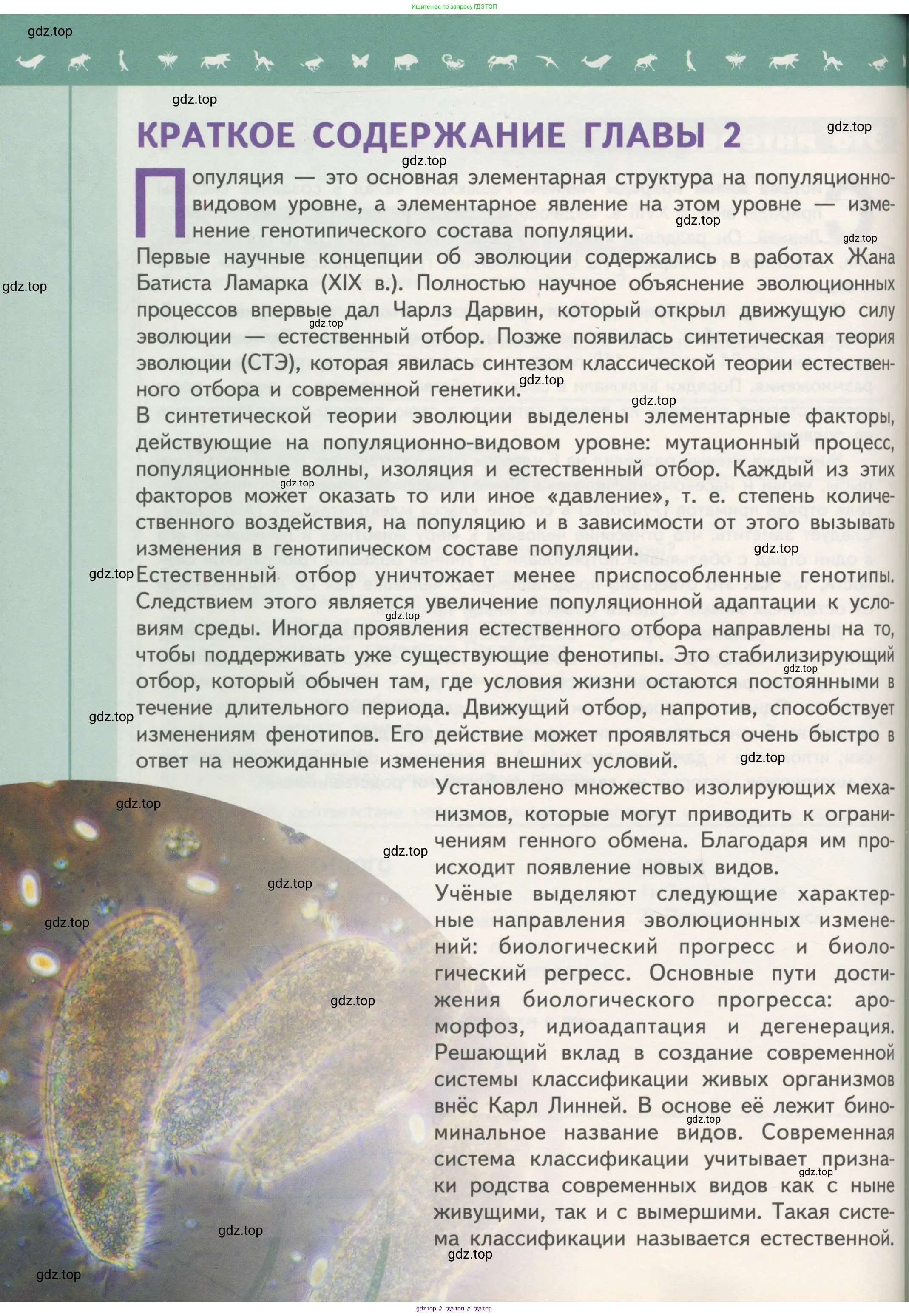 Биология, 11 класс Учебник, авторы: Пасечник Владимир Васильевич, Каменский Андрей Александрович, Рубцов Александр Михайлович, Швецов Глеб Геннадьевич, Гапонюк Зоя Георгиевна, издательство Просвещение, Москва, 2018, страница 132