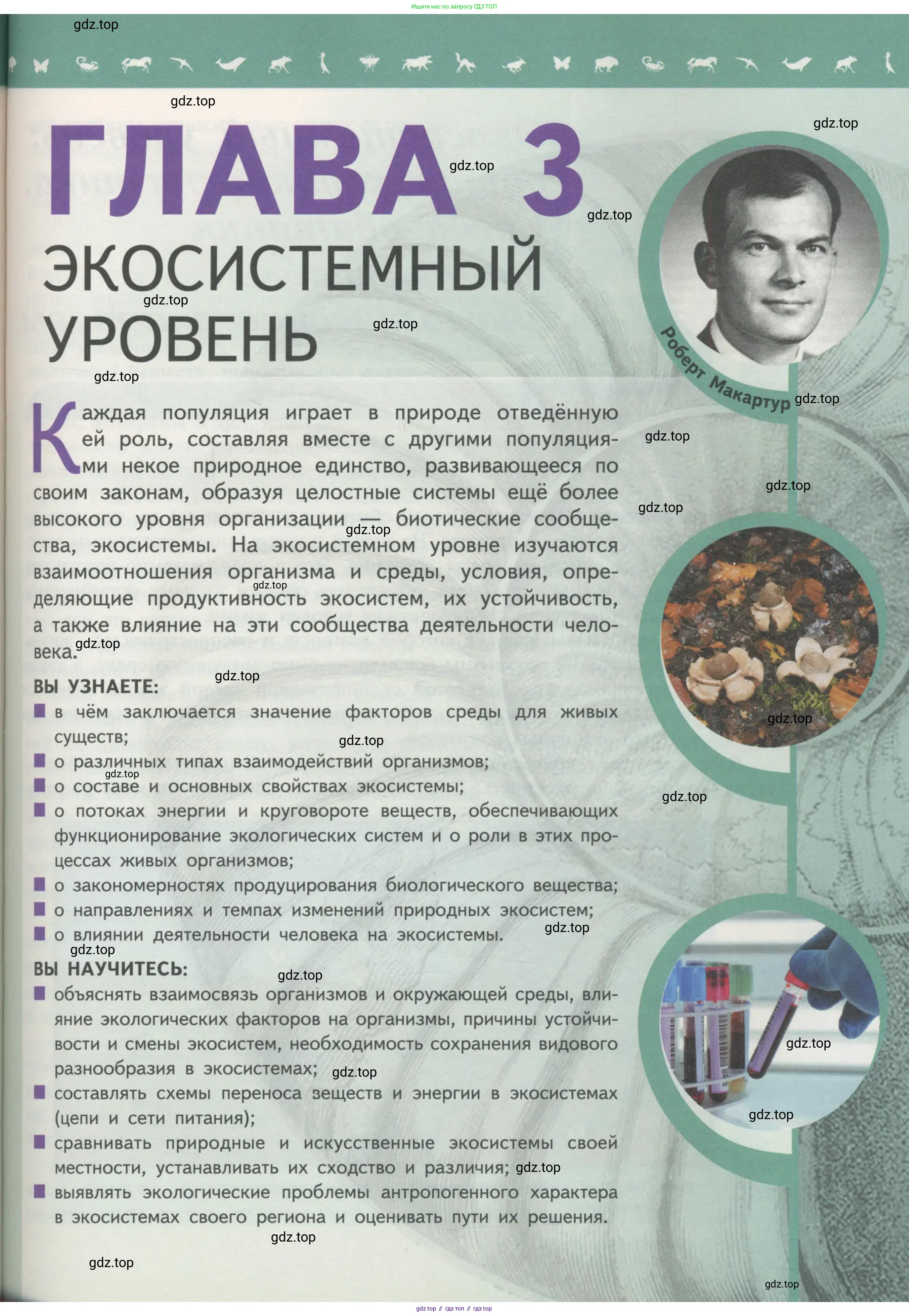 Биология, 11 класс Учебник, авторы: Пасечник Владимир Васильевич, Каменский Андрей Александрович, Рубцов Александр Михайлович, Швецов Глеб Геннадьевич, Гапонюк Зоя Георгиевна, издательство Просвещение, Москва, 2018, страница 133