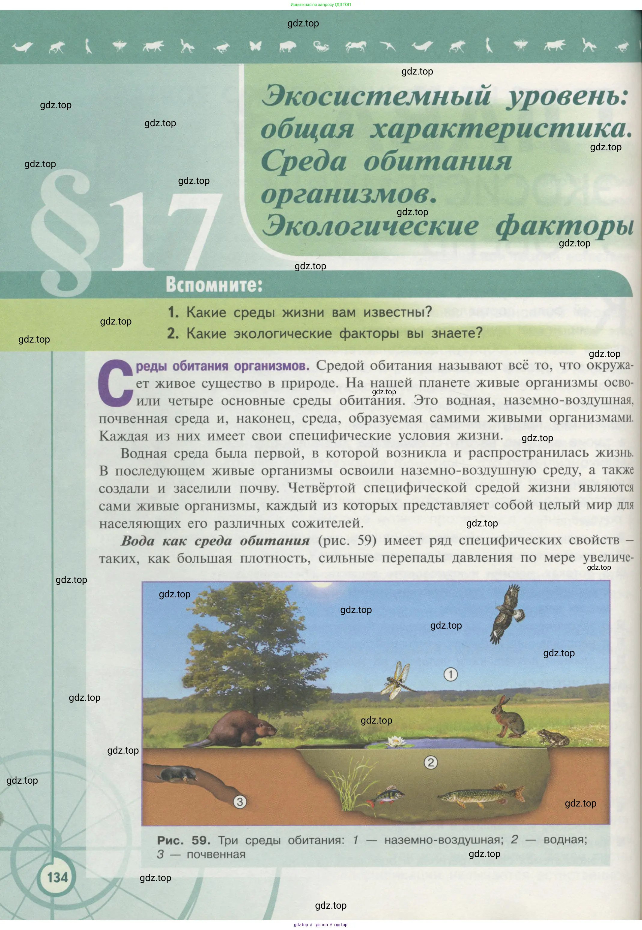 Биология, 11 класс Учебник, авторы: Пасечник Владимир Васильевич, Каменский Андрей Александрович, Рубцов Александр Михайлович, Швецов Глеб Геннадьевич, Гапонюк Зоя Георгиевна, издательство Просвещение, Москва, 2018, страница 134