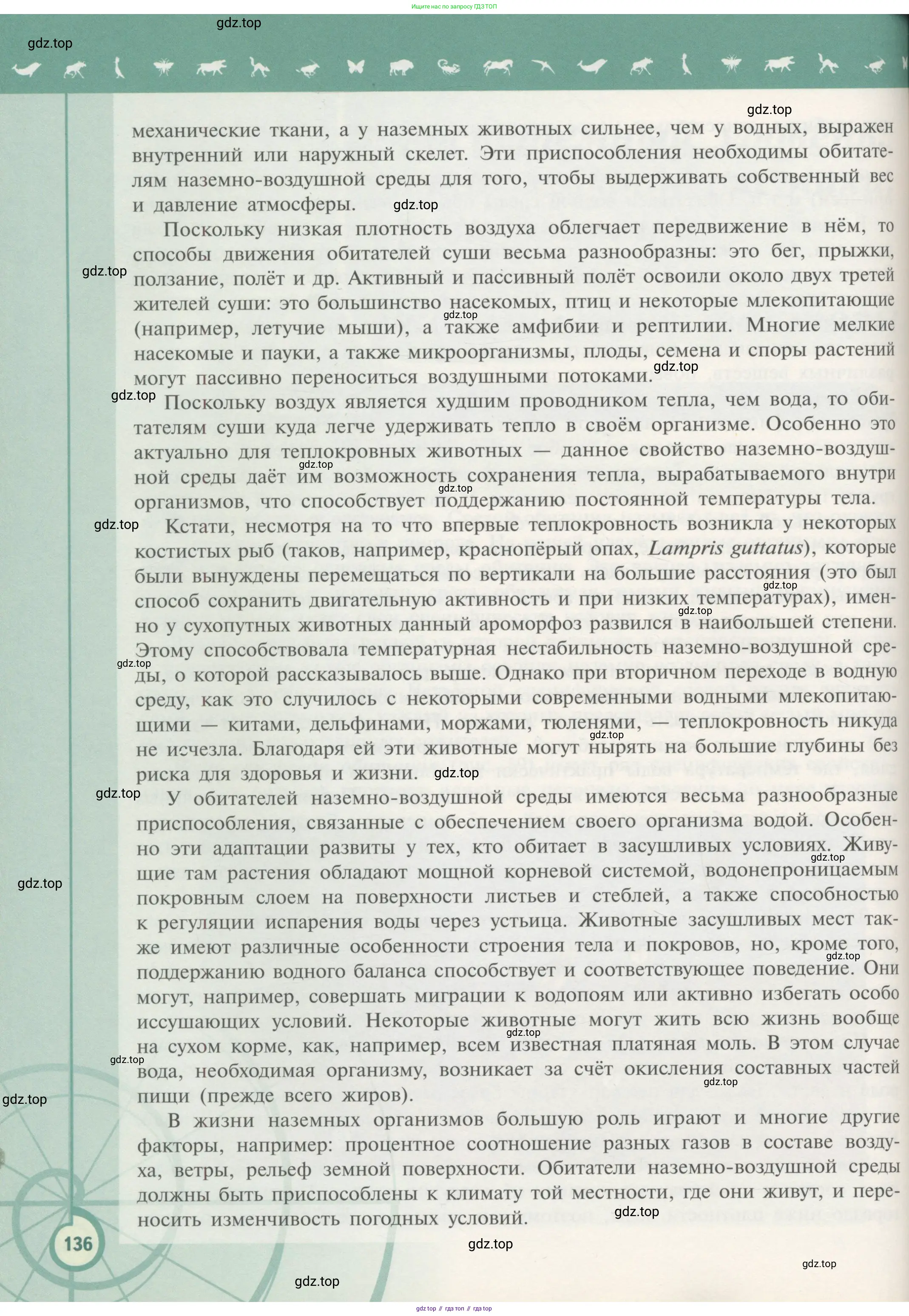 Биология, 11 класс Учебник, авторы: Пасечник Владимир Васильевич, Каменский Андрей Александрович, Рубцов Александр Михайлович, Швецов Глеб Геннадьевич, Гапонюк Зоя Георгиевна, издательство Просвещение, Москва, 2018, страница 136