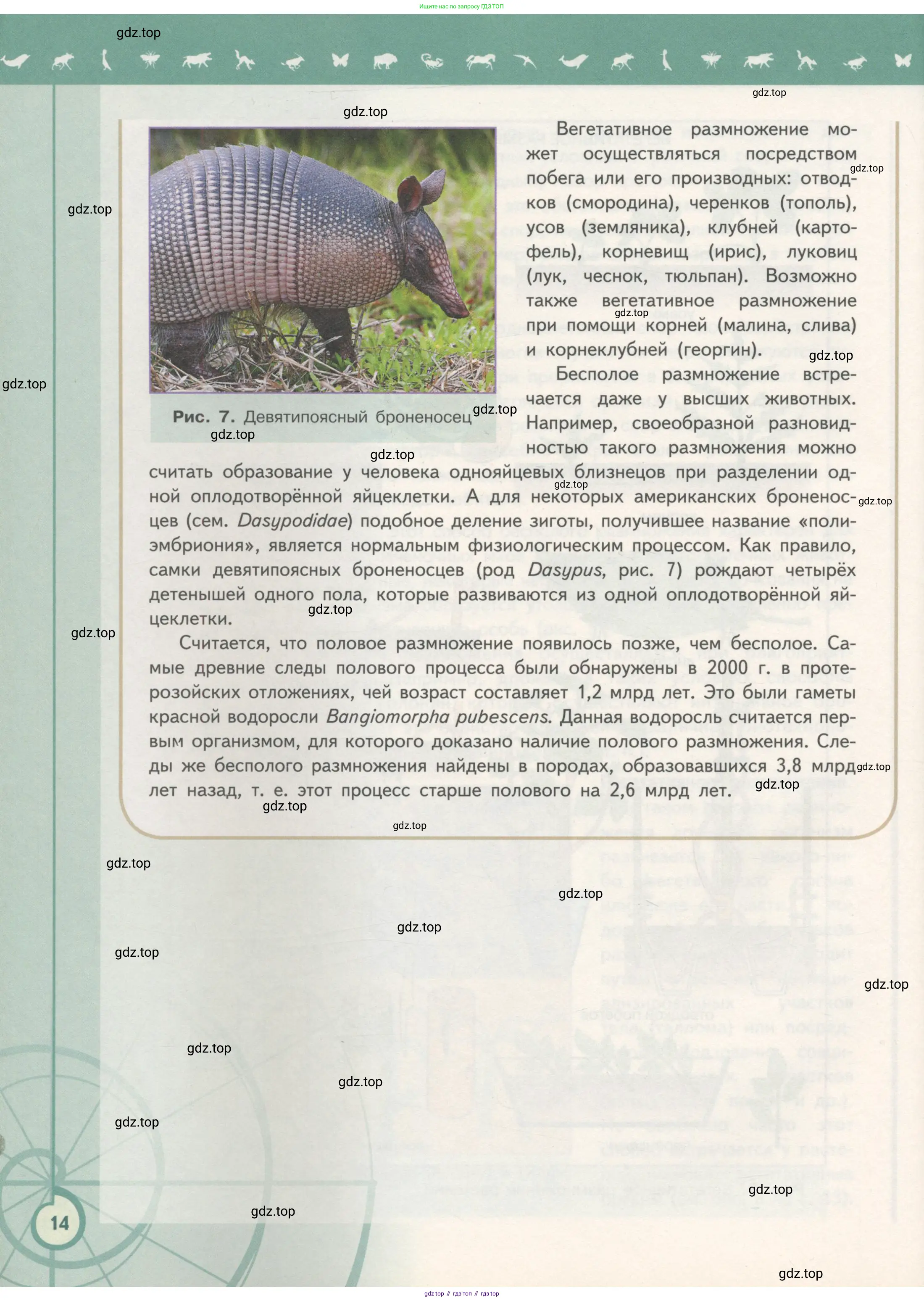 Биология, 11 класс Учебник, авторы: Пасечник Владимир Васильевич, Каменский Андрей Александрович, Рубцов Александр Михайлович, Швецов Глеб Геннадьевич, Гапонюк Зоя Георгиевна, издательство Просвещение, Москва, 2018, страница 14