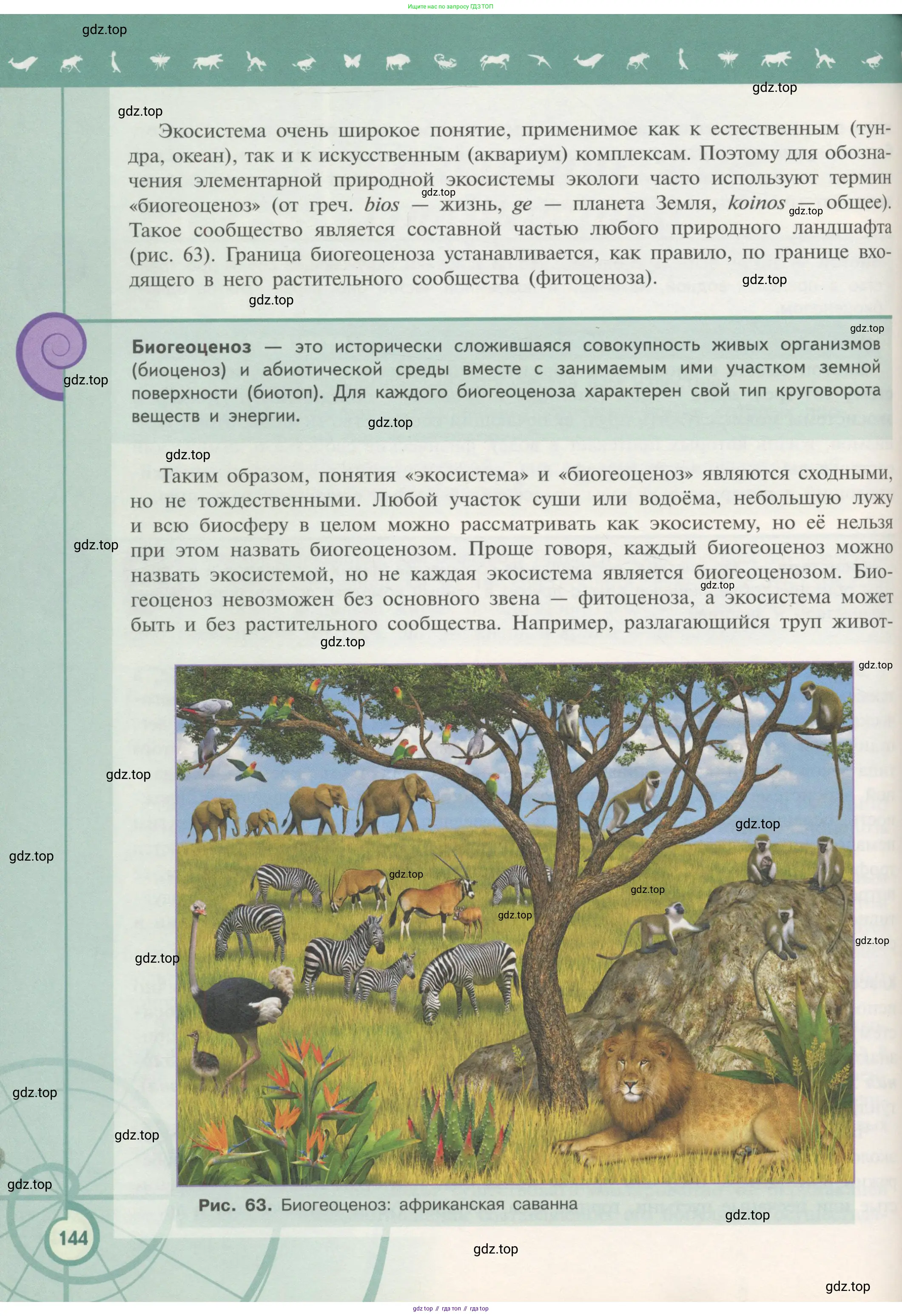 Биология, 11 класс Учебник, авторы: Пасечник Владимир Васильевич, Каменский Андрей Александрович, Рубцов Александр Михайлович, Швецов Глеб Геннадьевич, Гапонюк Зоя Георгиевна, издательство Просвещение, Москва, 2018, страница 144
