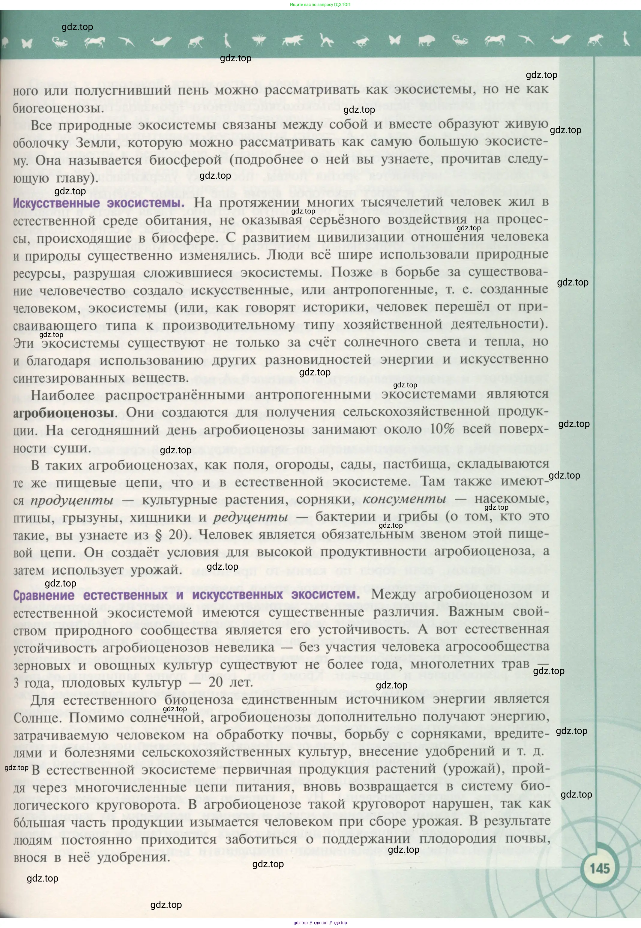 Биология, 11 класс Учебник, авторы: Пасечник Владимир Васильевич, Каменский Андрей Александрович, Рубцов Александр Михайлович, Швецов Глеб Геннадьевич, Гапонюк Зоя Георгиевна, издательство Просвещение, Москва, 2018, страница 145