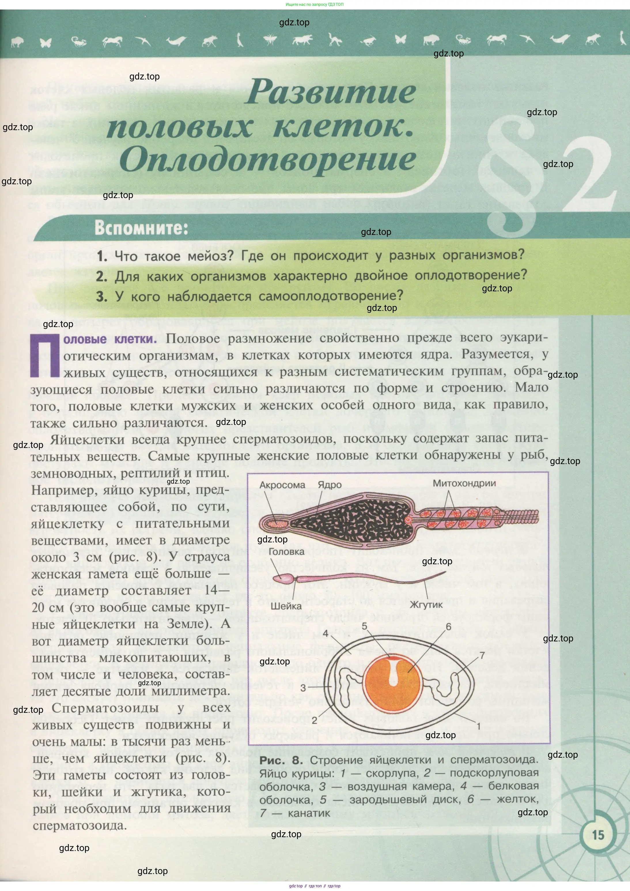 Биология, 11 класс Учебник, авторы: Пасечник Владимир Васильевич, Каменский Андрей Александрович, Рубцов Александр Михайлович, Швецов Глеб Геннадьевич, Гапонюк Зоя Георгиевна, издательство Просвещение, Москва, 2018, страница 15