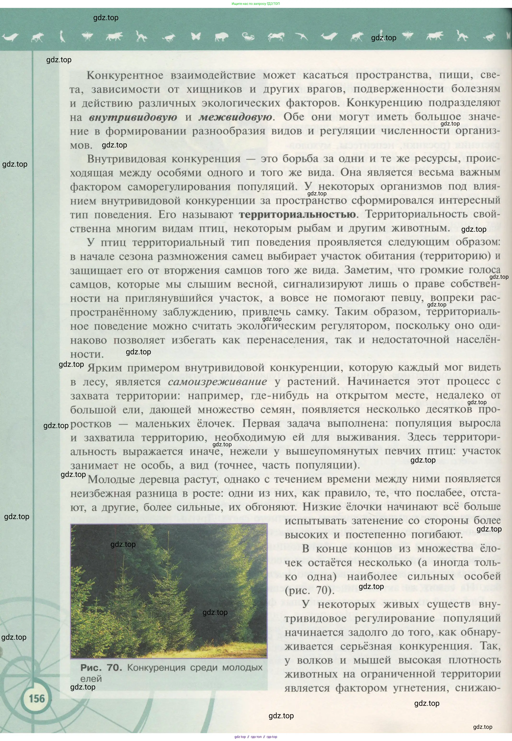 Биология, 11 класс Учебник, авторы: Пасечник Владимир Васильевич, Каменский Андрей Александрович, Рубцов Александр Михайлович, Швецов Глеб Геннадьевич, Гапонюк Зоя Георгиевна, издательство Просвещение, Москва, 2018, страница 156