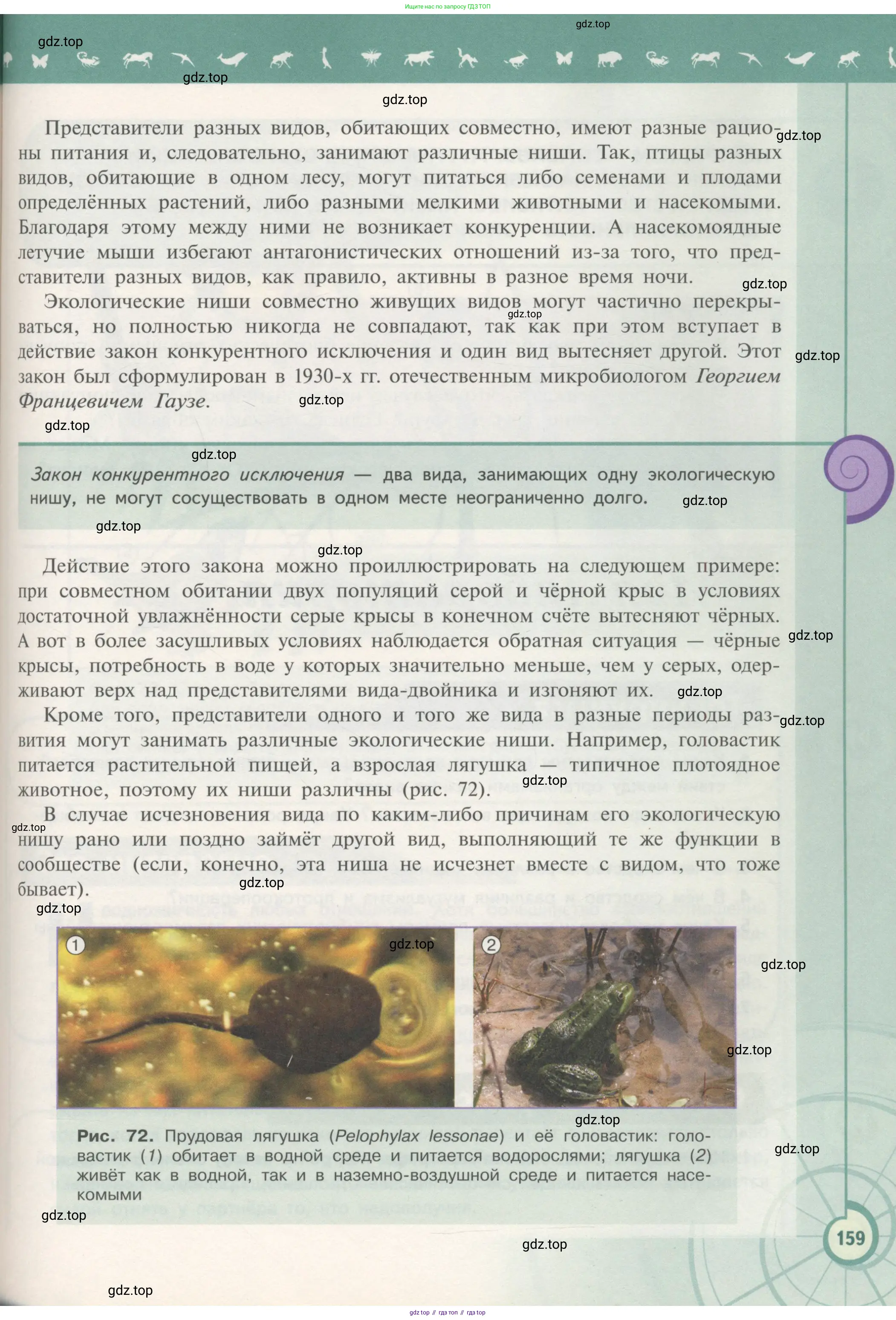 Биология, 11 класс Учебник, авторы: Пасечник Владимир Васильевич, Каменский Андрей Александрович, Рубцов Александр Михайлович, Швецов Глеб Геннадьевич, Гапонюк Зоя Георгиевна, издательство Просвещение, Москва, 2018, страница 159