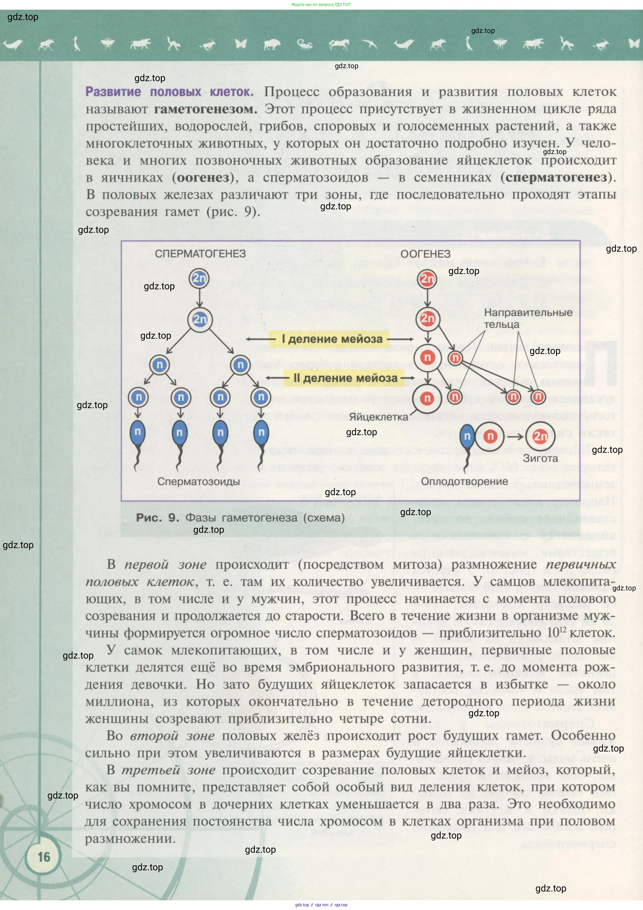 Биология, 11 класс Учебник, авторы: Пасечник Владимир Васильевич, Каменский Андрей Александрович, Рубцов Александр Михайлович, Швецов Глеб Геннадьевич, Гапонюк Зоя Георгиевна, издательство Просвещение, Москва, 2018, страница 16