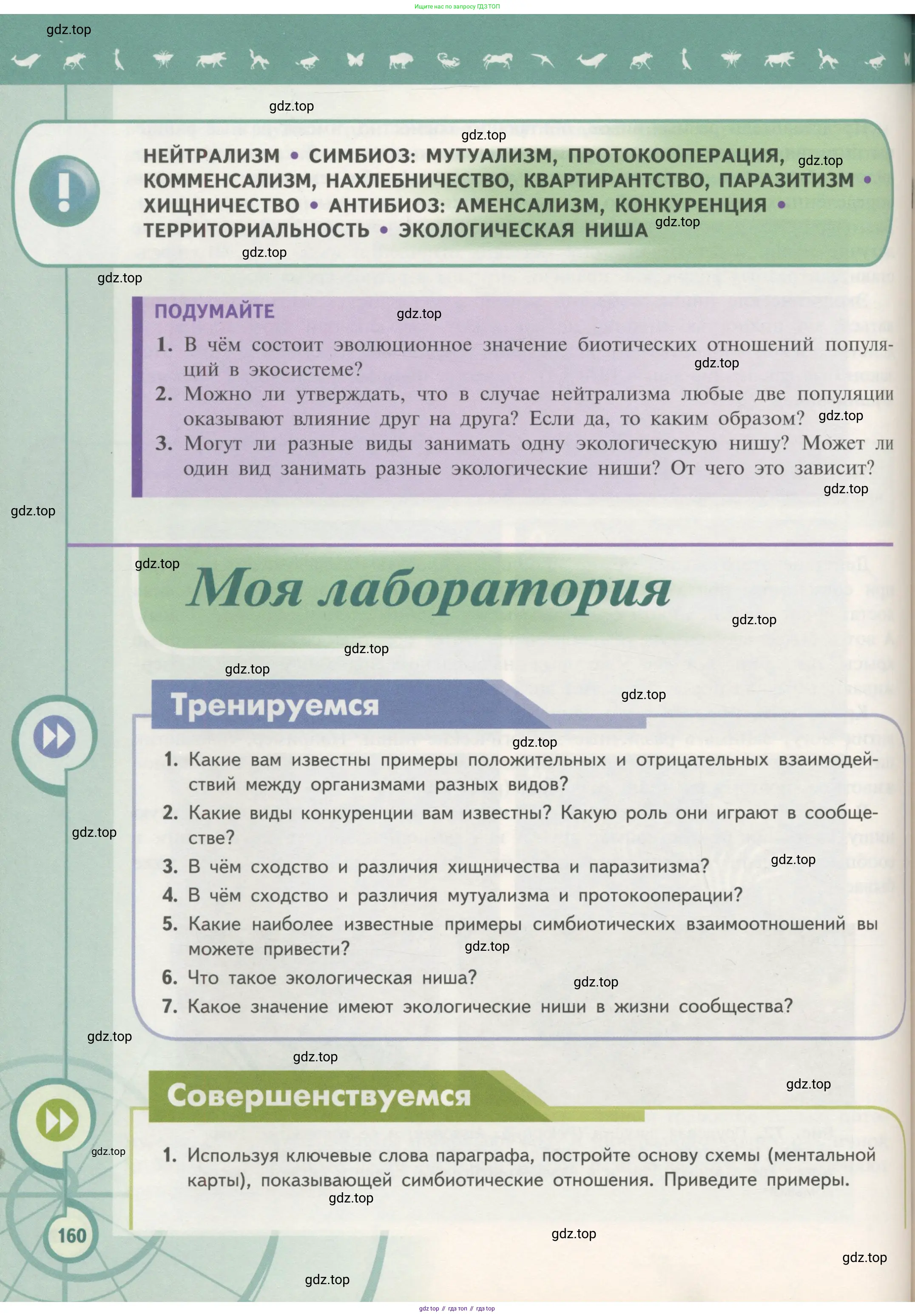 Биология, 11 класс Учебник, авторы: Пасечник Владимир Васильевич, Каменский Андрей Александрович, Рубцов Александр Михайлович, Швецов Глеб Геннадьевич, Гапонюк Зоя Георгиевна, издательство Просвещение, Москва, 2018, страница 160