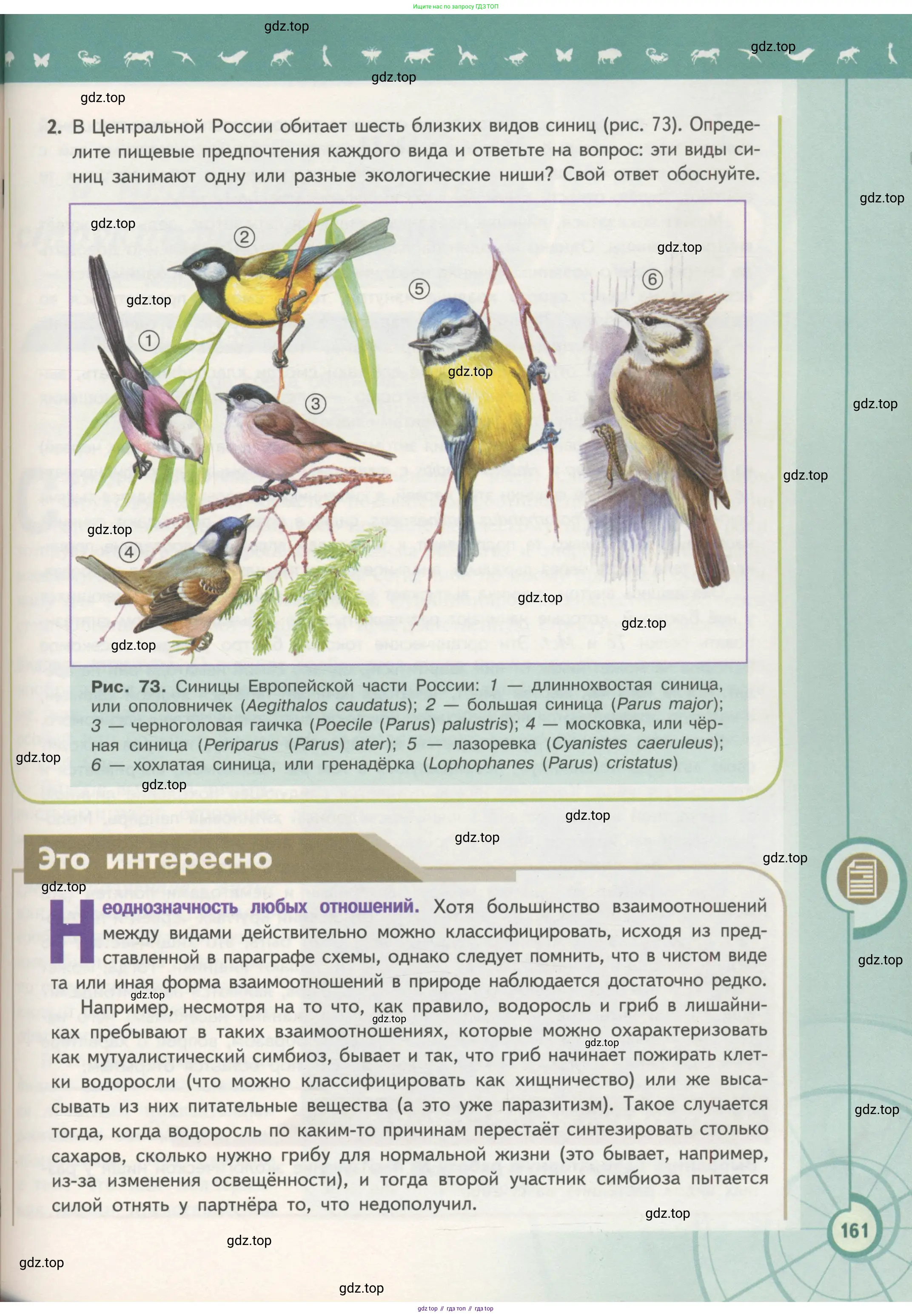 Биология, 11 класс Учебник, авторы: Пасечник Владимир Васильевич, Каменский Андрей Александрович, Рубцов Александр Михайлович, Швецов Глеб Геннадьевич, Гапонюк Зоя Георгиевна, издательство Просвещение, Москва, 2018, страница 161