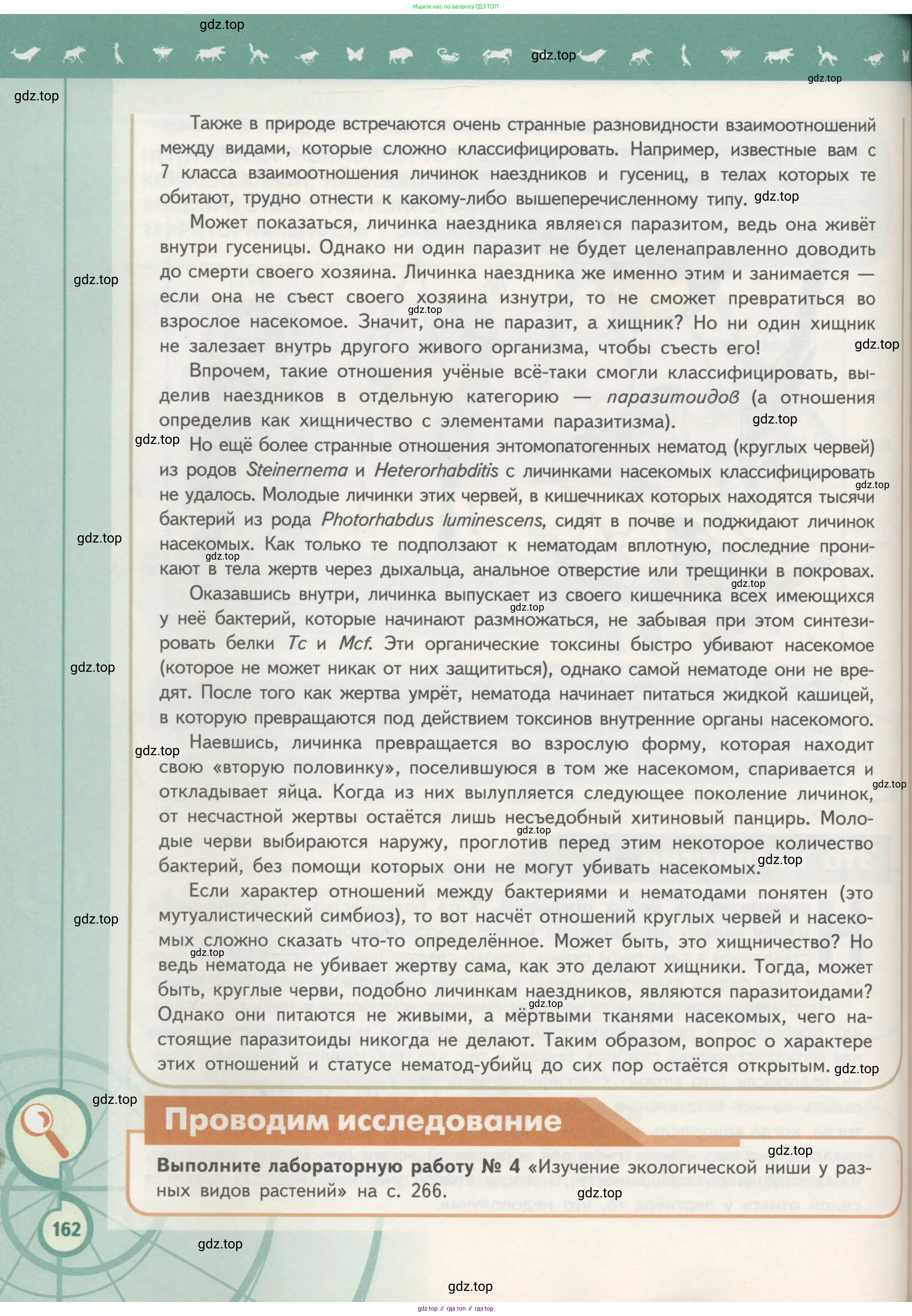 Биология, 11 класс Учебник, авторы: Пасечник Владимир Васильевич, Каменский Андрей Александрович, Рубцов Александр Михайлович, Швецов Глеб Геннадьевич, Гапонюк Зоя Георгиевна, издательство Просвещение, Москва, 2018, страница 162