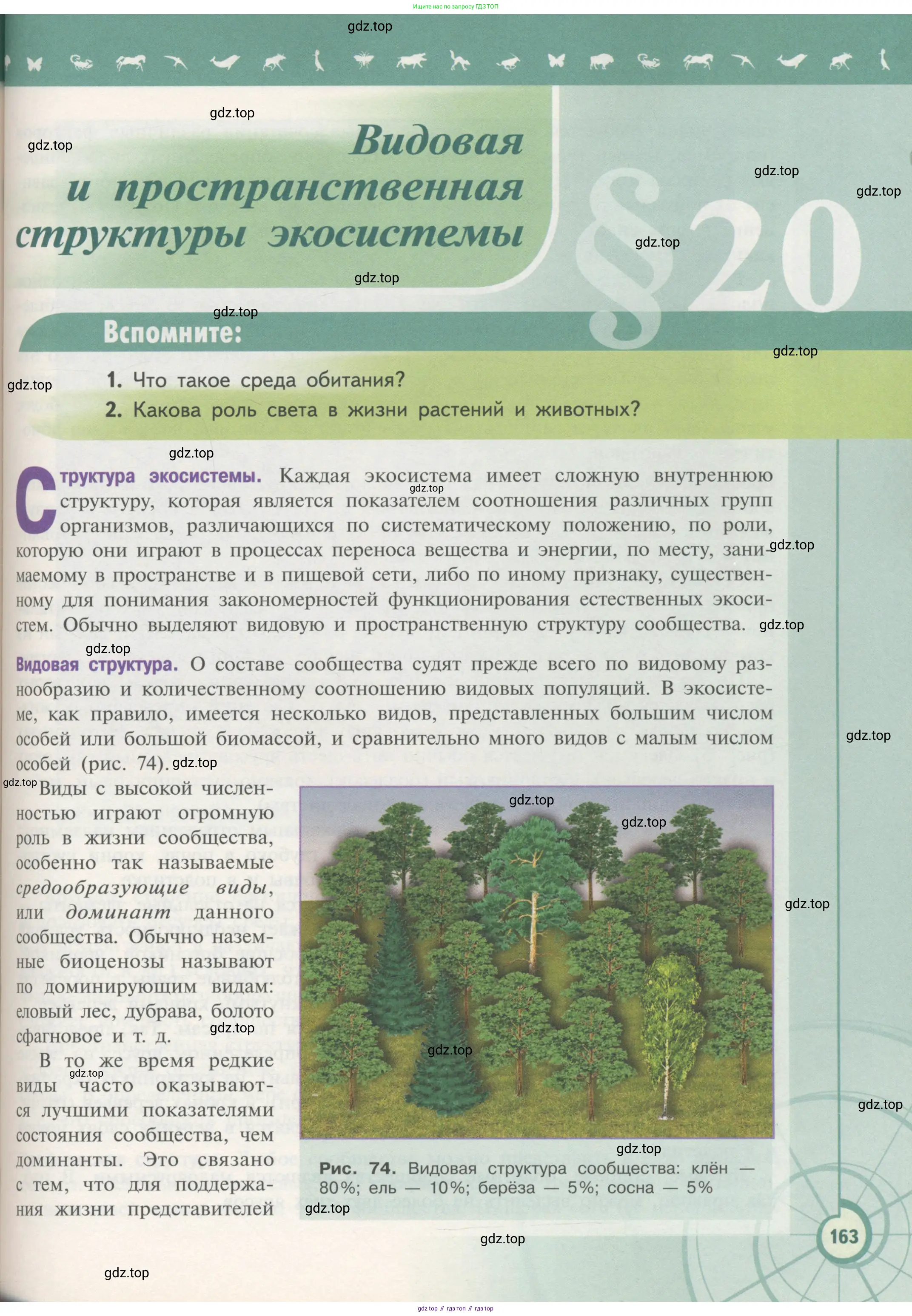 Биология, 11 класс Учебник, авторы: Пасечник Владимир Васильевич, Каменский Андрей Александрович, Рубцов Александр Михайлович, Швецов Глеб Геннадьевич, Гапонюк Зоя Георгиевна, издательство Просвещение, Москва, 2018, страница 163