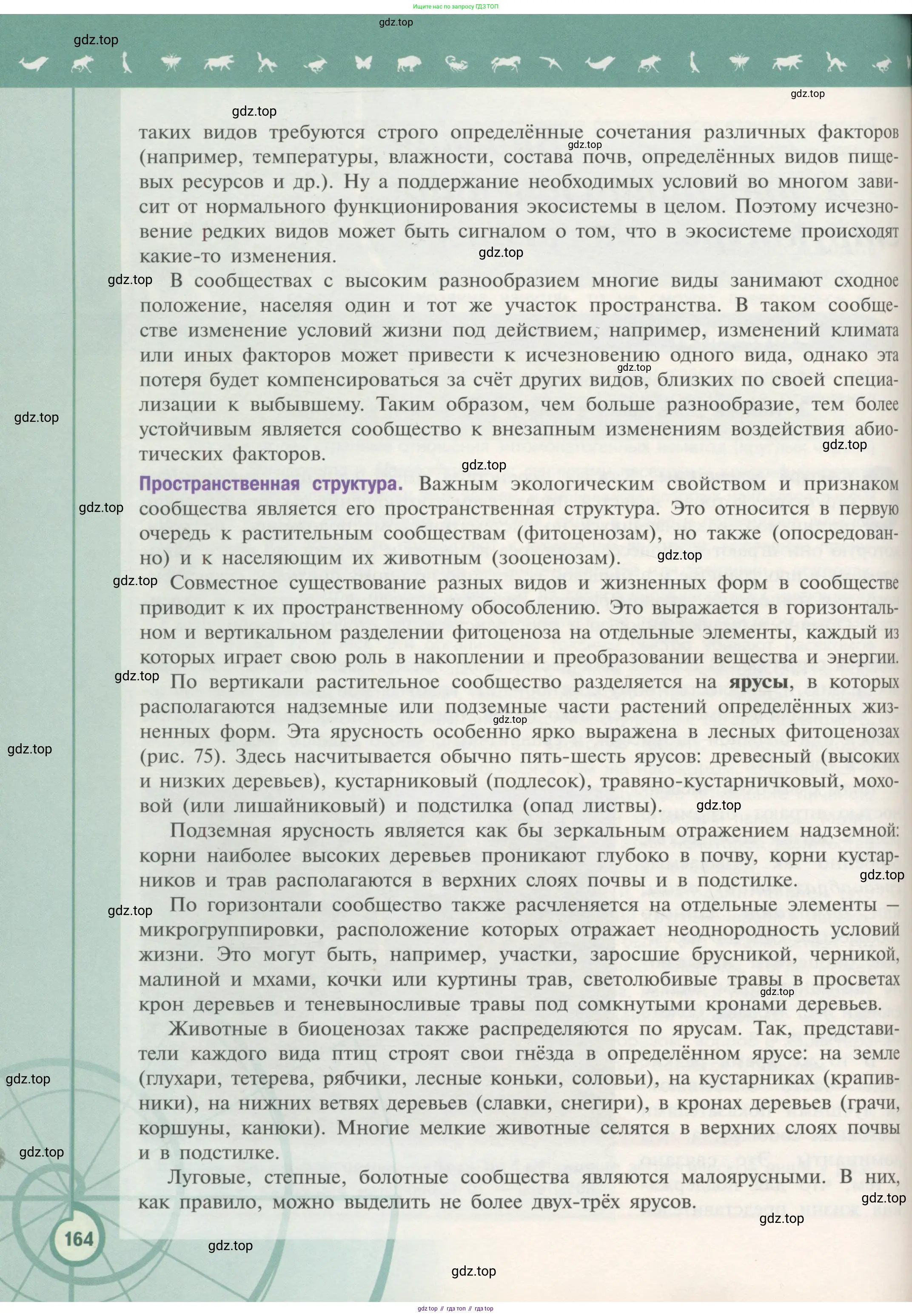 Биология, 11 класс Учебник, авторы: Пасечник Владимир Васильевич, Каменский Андрей Александрович, Рубцов Александр Михайлович, Швецов Глеб Геннадьевич, Гапонюк Зоя Георгиевна, издательство Просвещение, Москва, 2018, страница 164