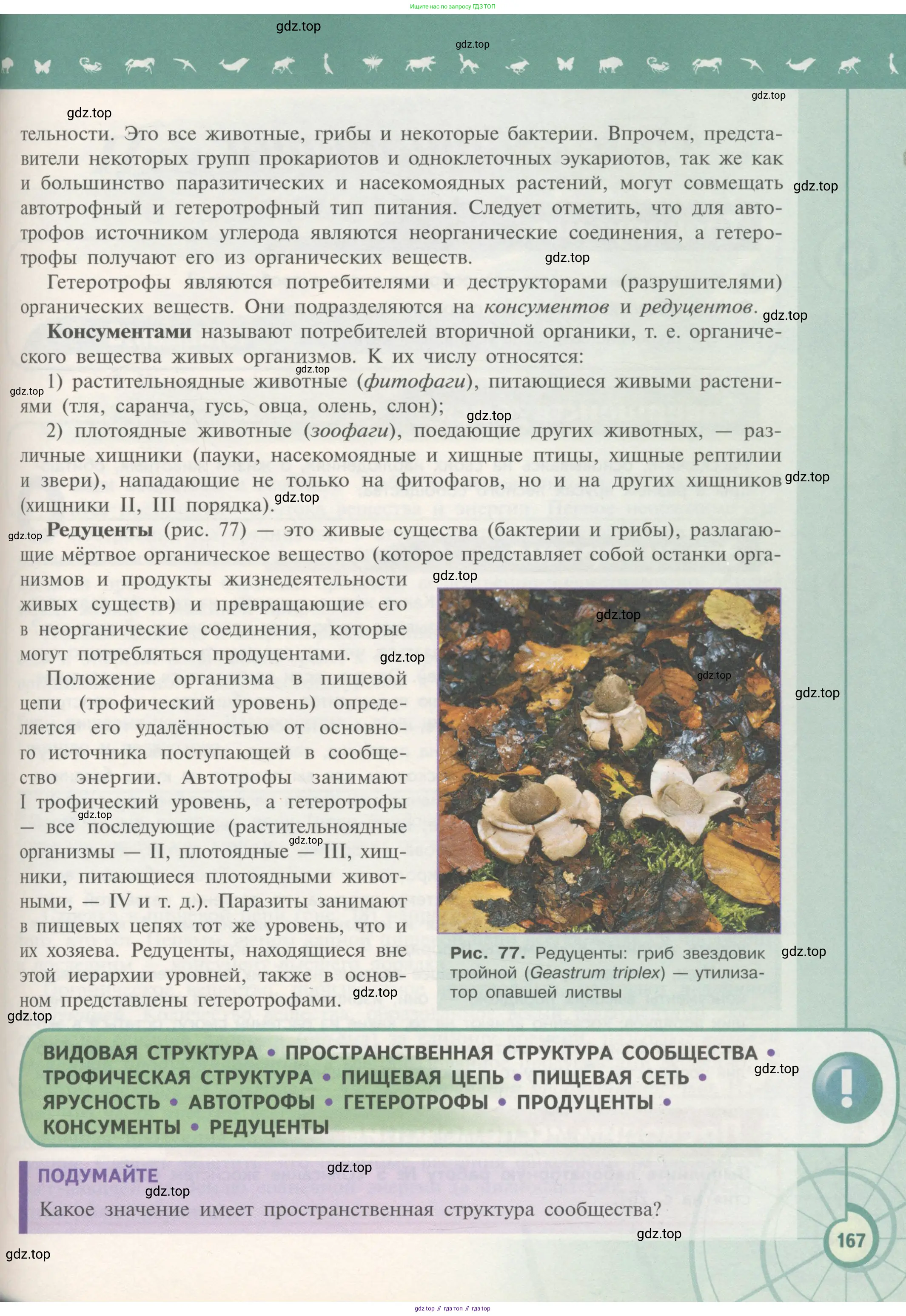 Биология, 11 класс Учебник, авторы: Пасечник Владимир Васильевич, Каменский Андрей Александрович, Рубцов Александр Михайлович, Швецов Глеб Геннадьевич, Гапонюк Зоя Георгиевна, издательство Просвещение, Москва, 2018, страница 167