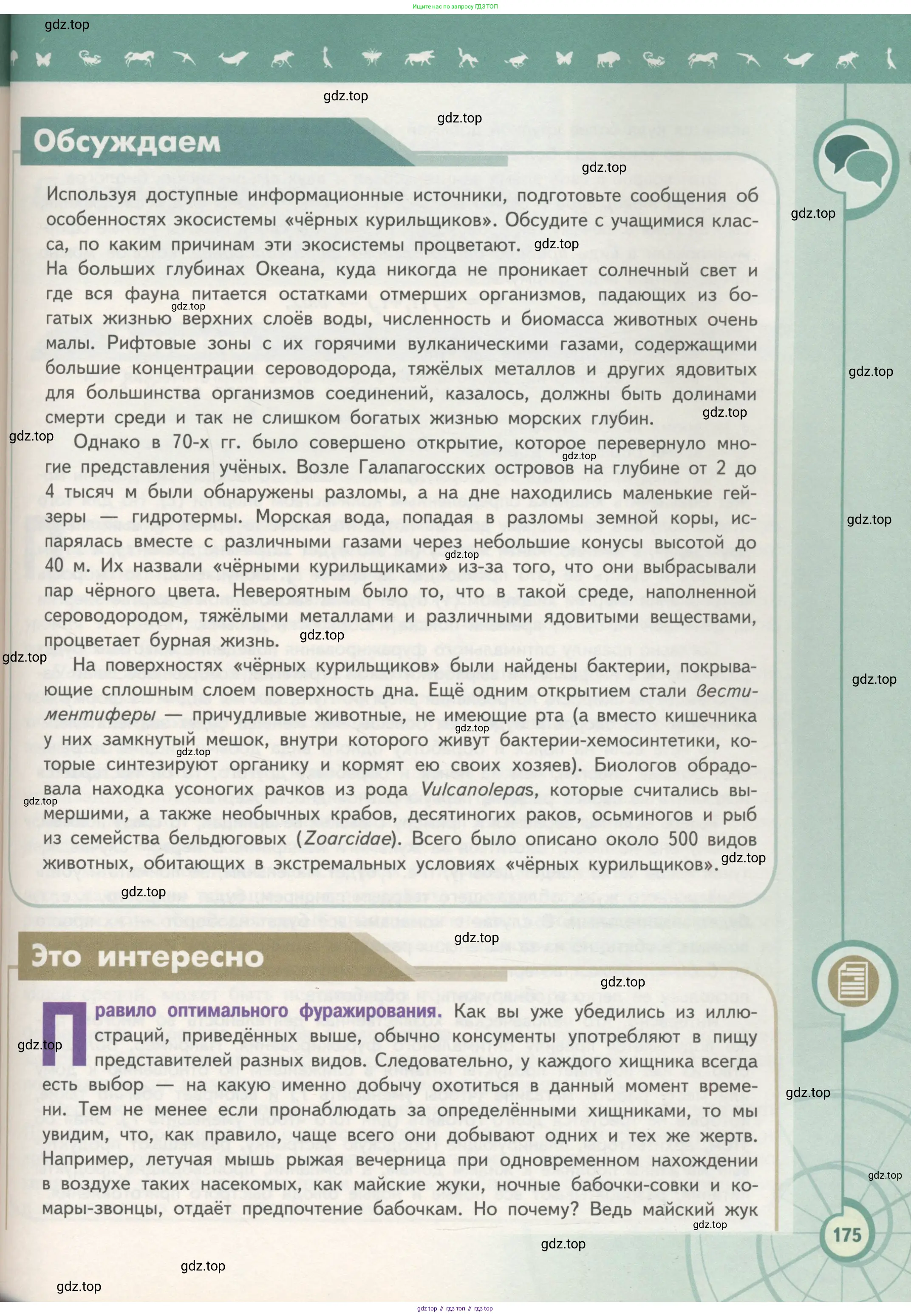 Биология, 11 класс Учебник, авторы: Пасечник Владимир Васильевич, Каменский Андрей Александрович, Рубцов Александр Михайлович, Швецов Глеб Геннадьевич, Гапонюк Зоя Георгиевна, издательство Просвещение, Москва, 2018, страница 175
