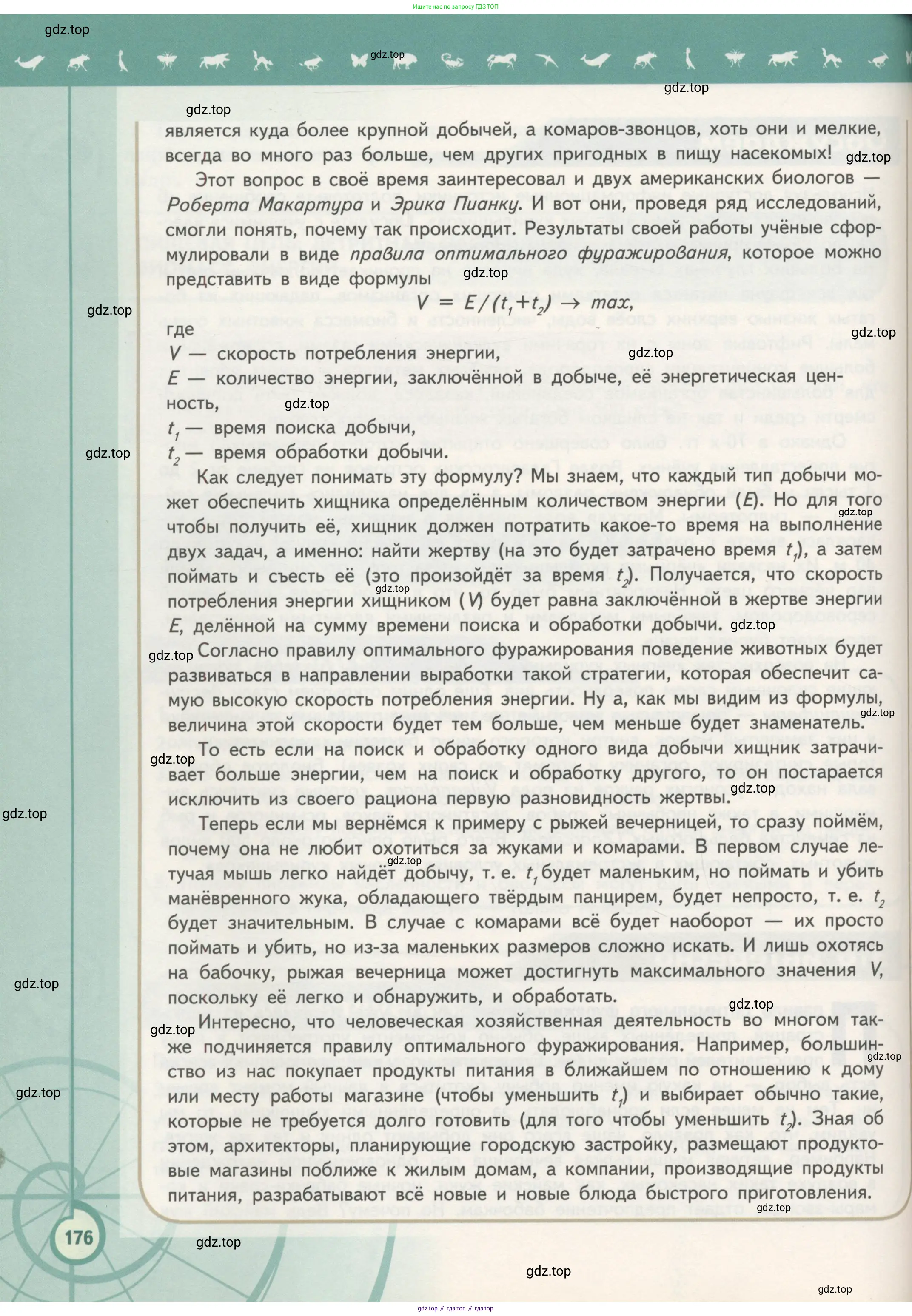 Биология, 11 класс Учебник, авторы: Пасечник Владимир Васильевич, Каменский Андрей Александрович, Рубцов Александр Михайлович, Швецов Глеб Геннадьевич, Гапонюк Зоя Георгиевна, издательство Просвещение, Москва, 2018, страница 176