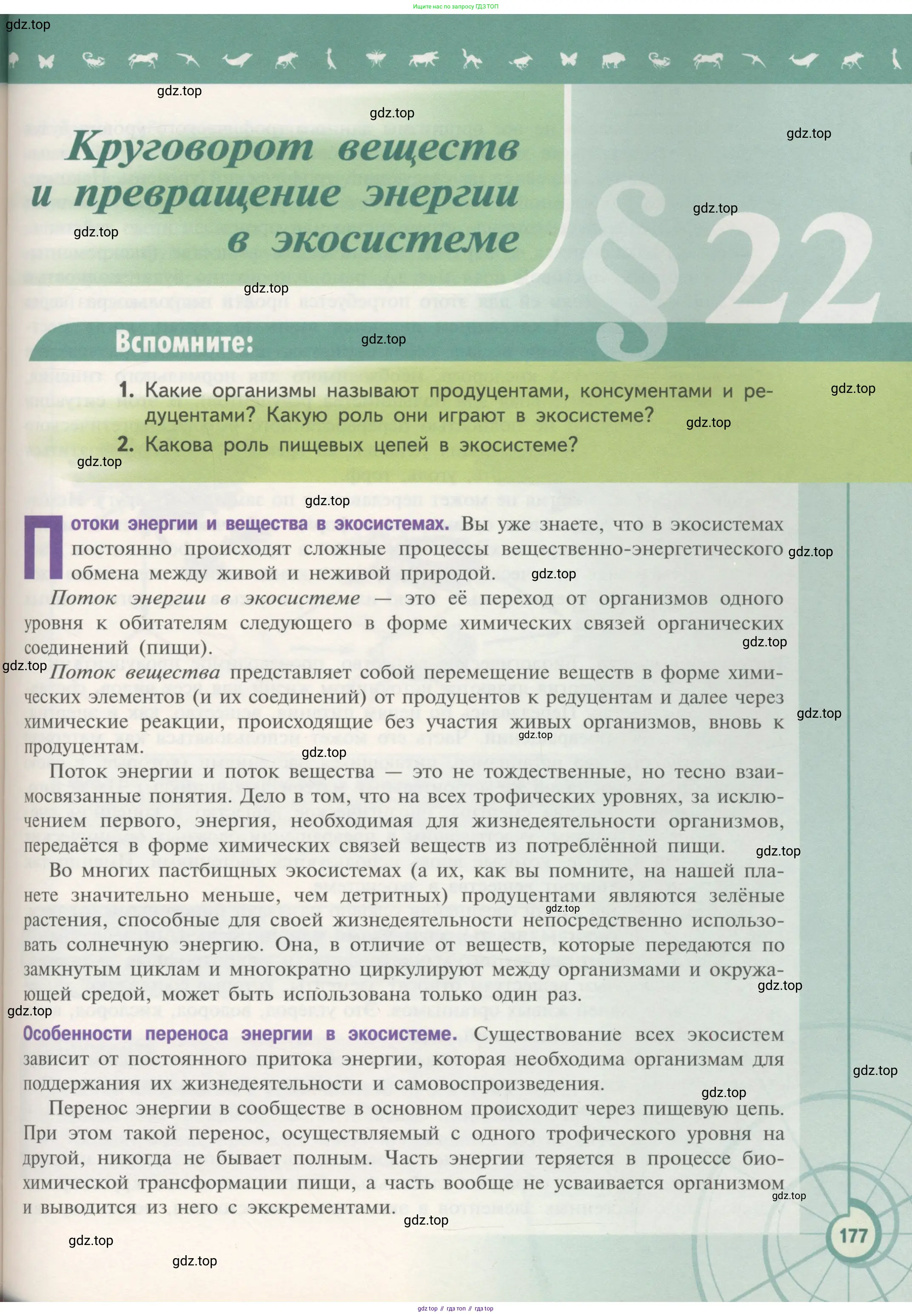 Биология, 11 класс Учебник, авторы: Пасечник Владимир Васильевич, Каменский Андрей Александрович, Рубцов Александр Михайлович, Швецов Глеб Геннадьевич, Гапонюк Зоя Георгиевна, издательство Просвещение, Москва, 2018, страница 177