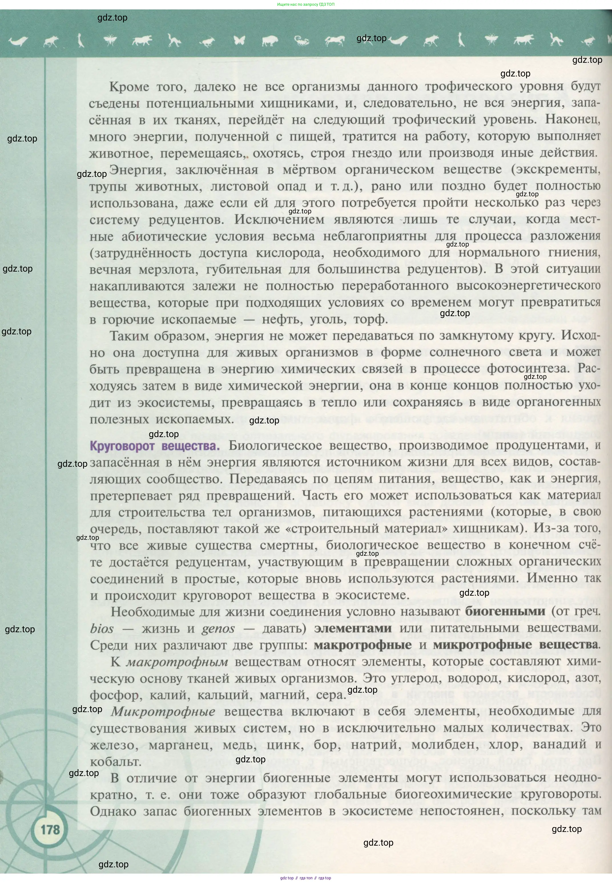 Биология, 11 класс Учебник, авторы: Пасечник Владимир Васильевич, Каменский Андрей Александрович, Рубцов Александр Михайлович, Швецов Глеб Геннадьевич, Гапонюк Зоя Георгиевна, издательство Просвещение, Москва, 2018, страница 178
