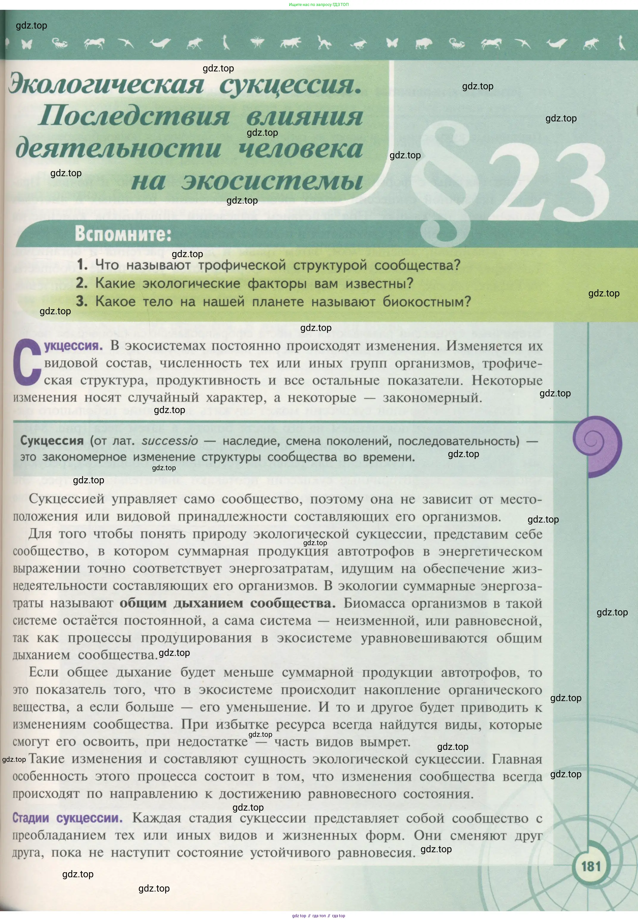Биология, 11 класс Учебник, авторы: Пасечник Владимир Васильевич, Каменский Андрей Александрович, Рубцов Александр Михайлович, Швецов Глеб Геннадьевич, Гапонюк Зоя Георгиевна, издательство Просвещение, Москва, 2018, страница 181